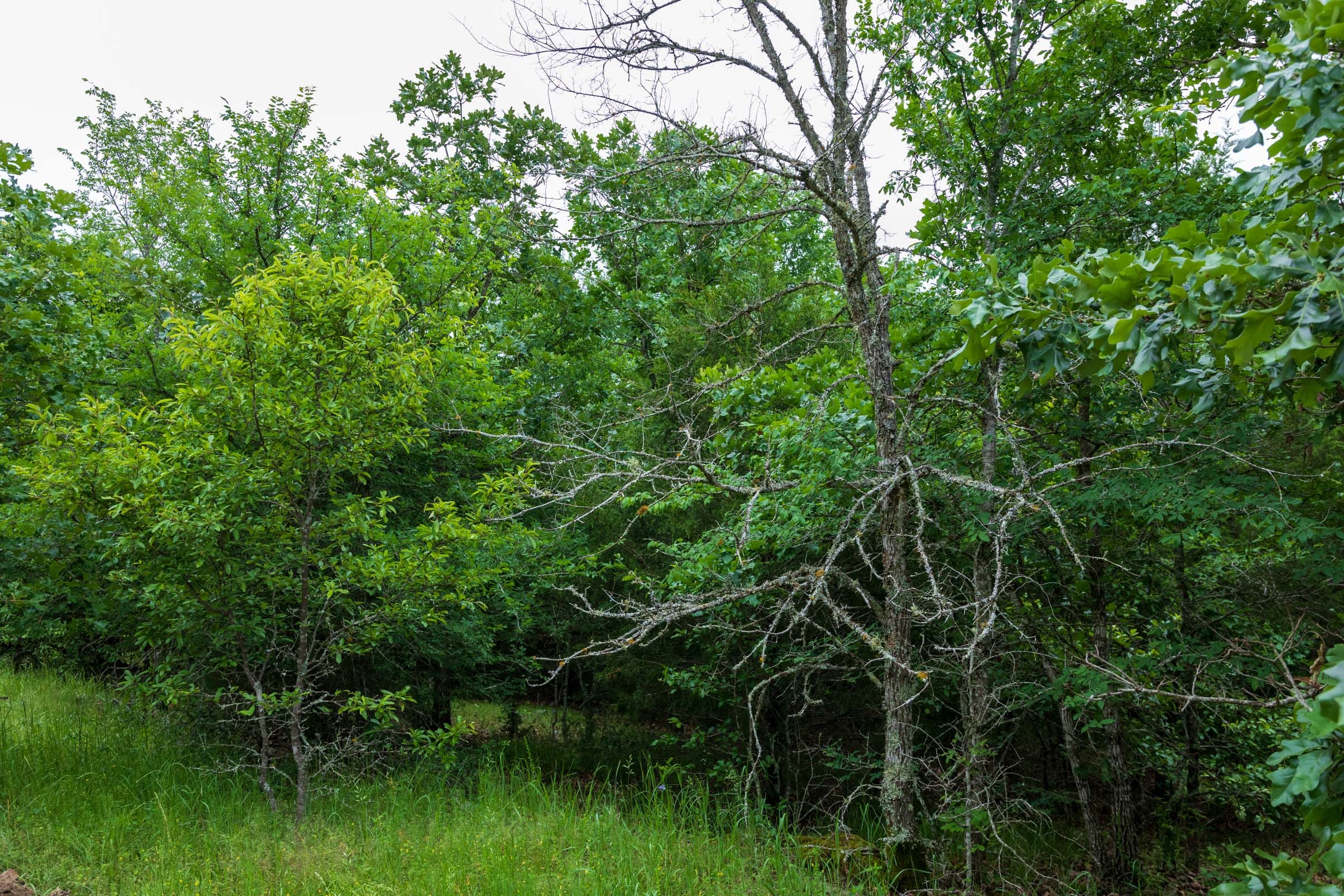 Falcon Crest Tract 2 photo 7