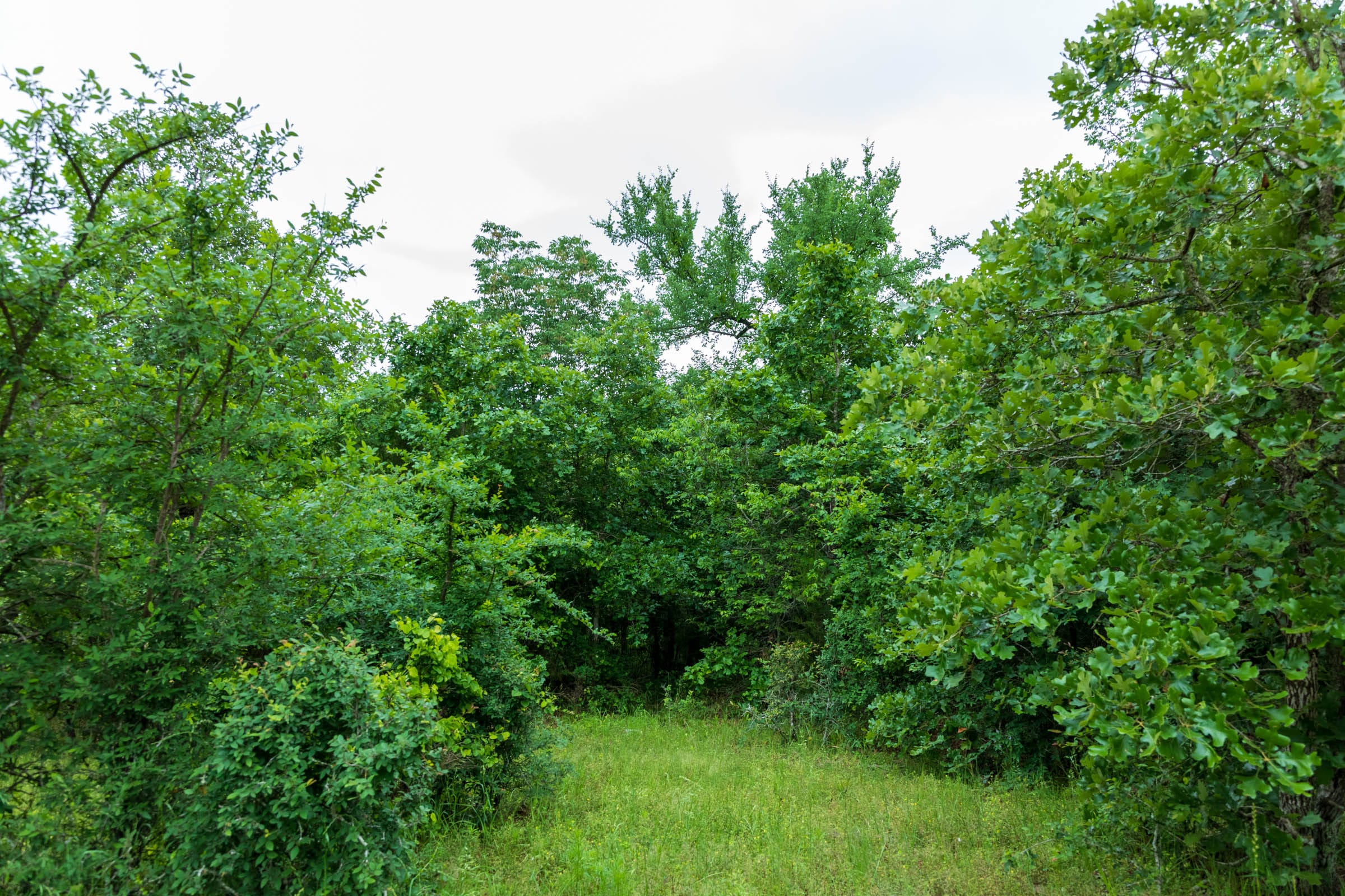 Falcon Crest Tract 2 photo 10