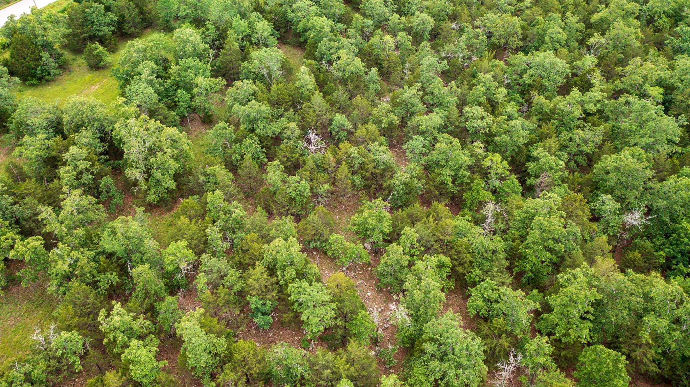 Falcon Crest Tract 2 photo 9