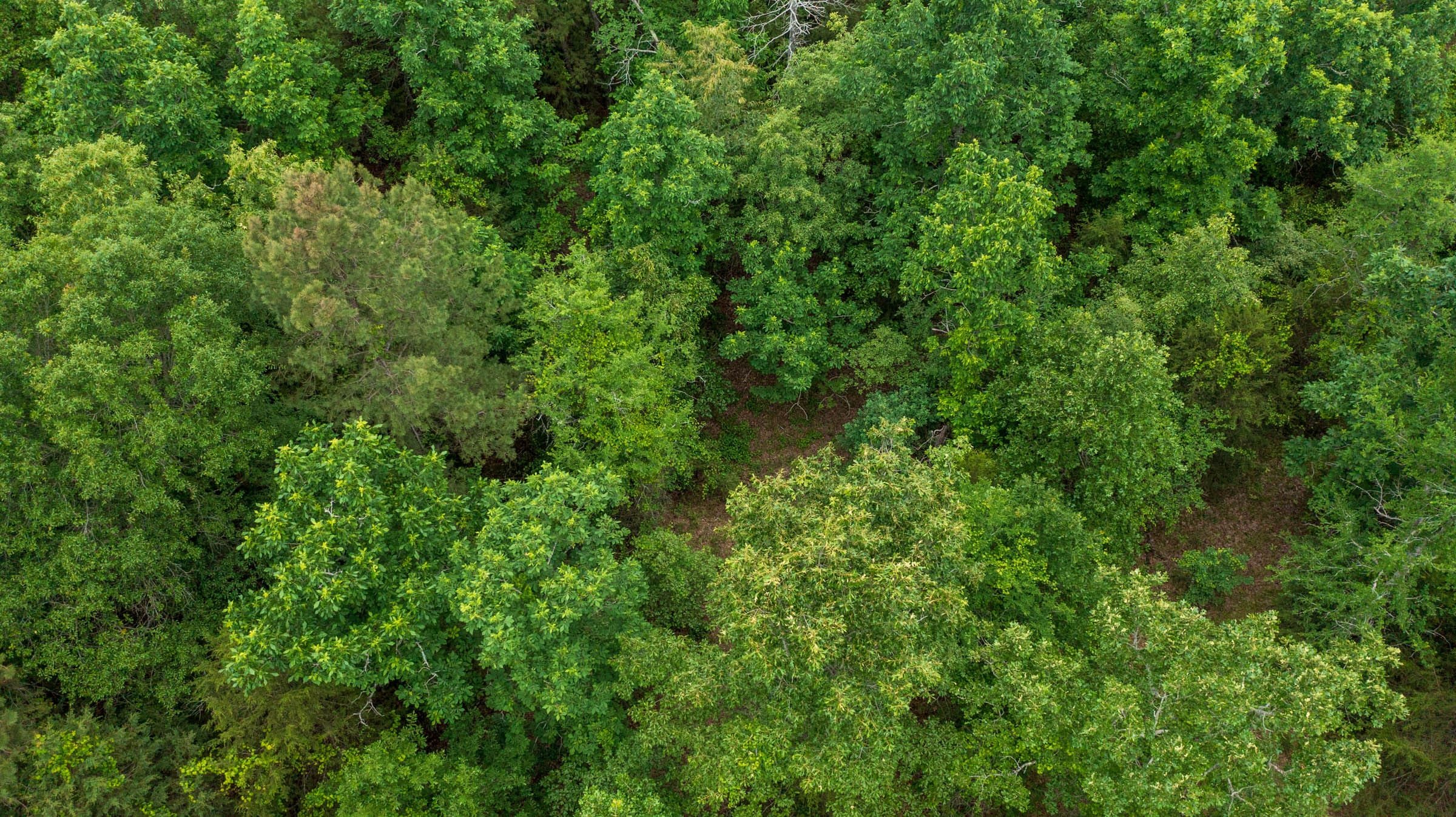 Falcon Crest Tract 2 photo 6
