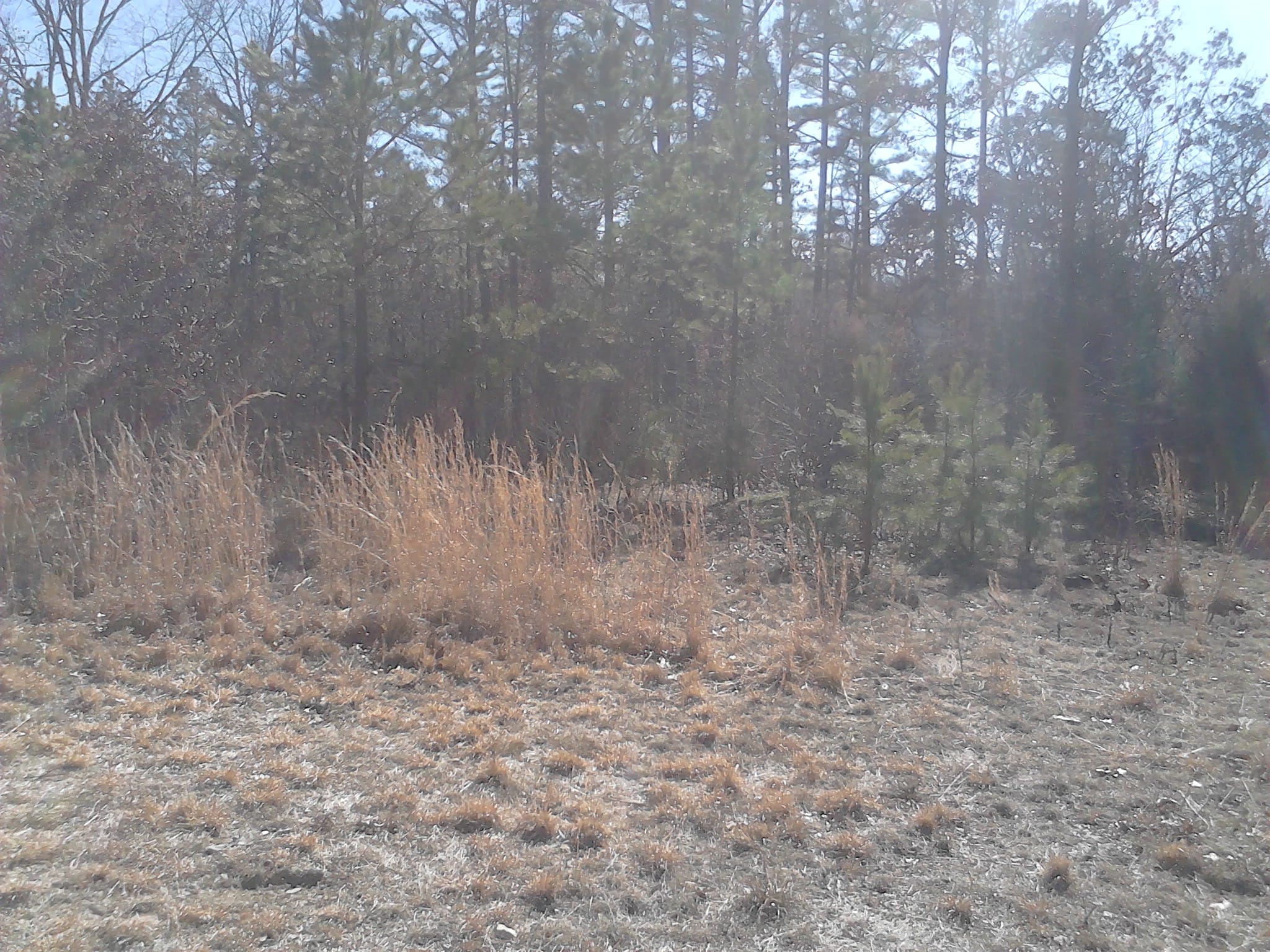 Ranches Of Montauk Park Tract 13 photo 7