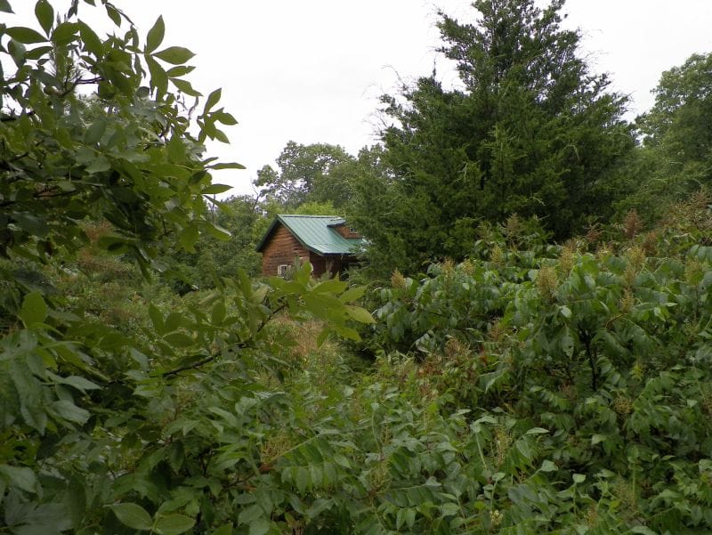 Ranches Of Montauk Park Tract 13 photo 9