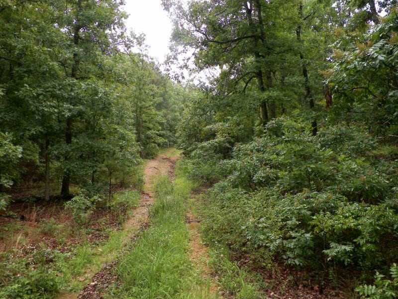 Ranches Of Montauk Park Tract 13 photo 11