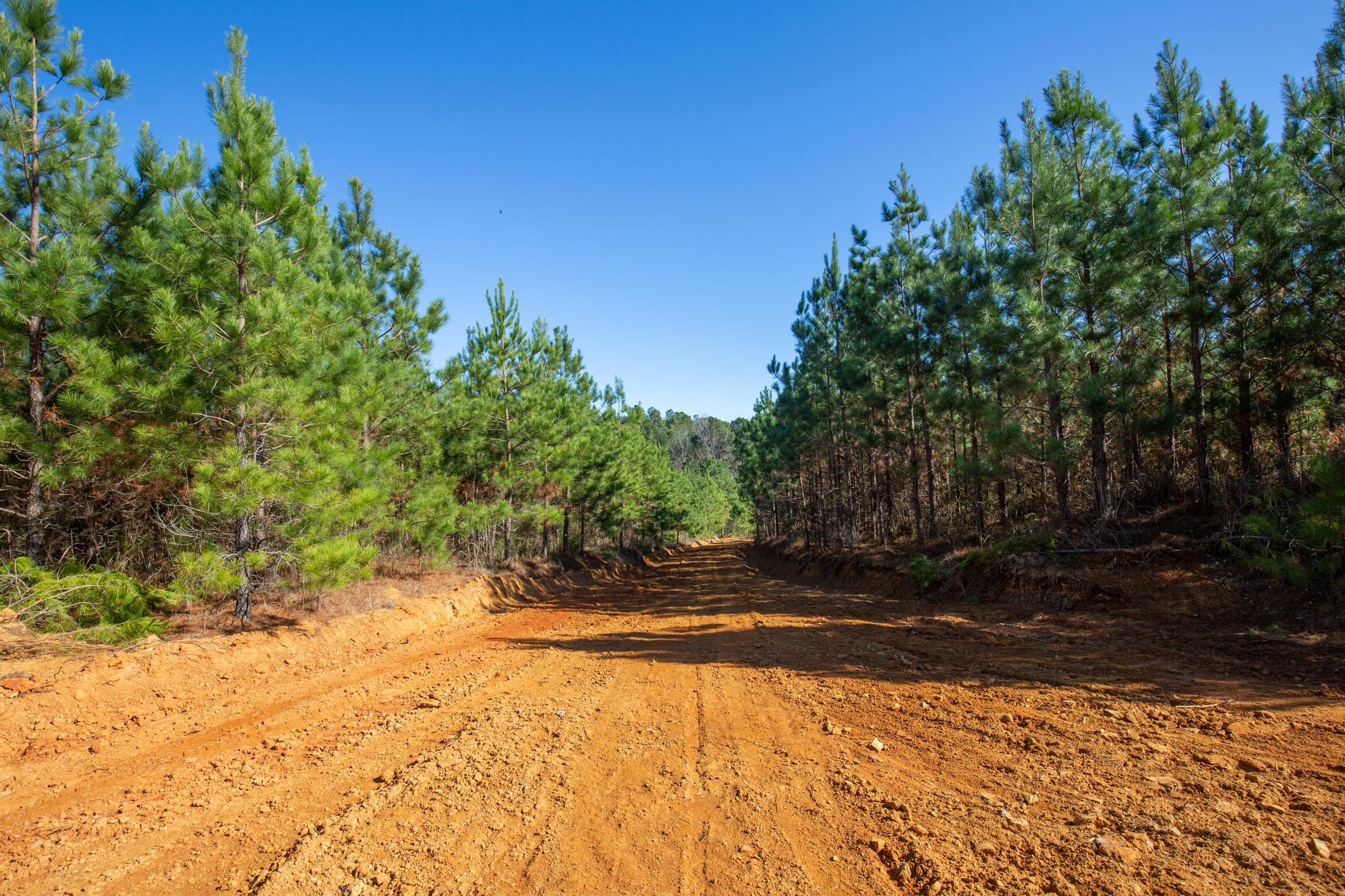 Pine Ridge Tract 10 photo 1