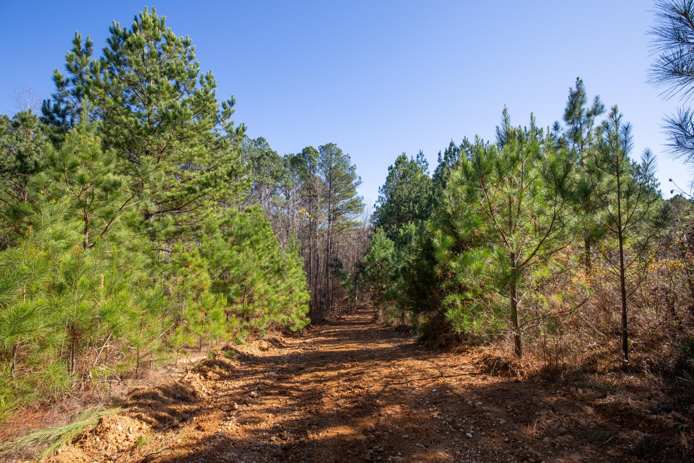 Pine Ridge Tract 10 photo 16