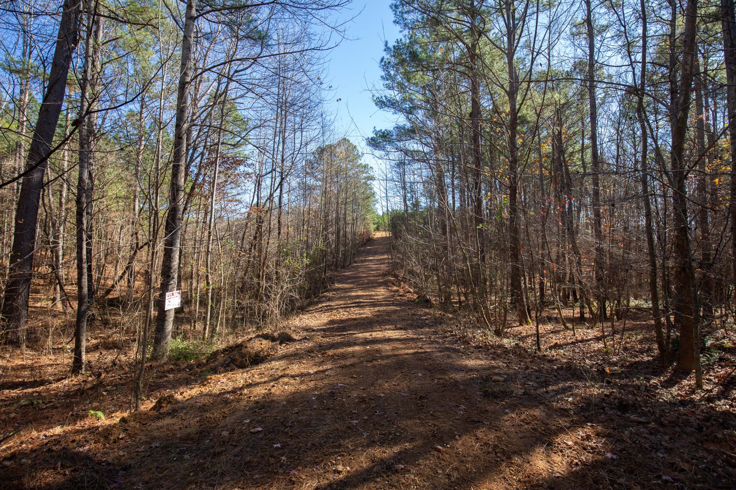 Pine Ridge Tract 10 photo 8