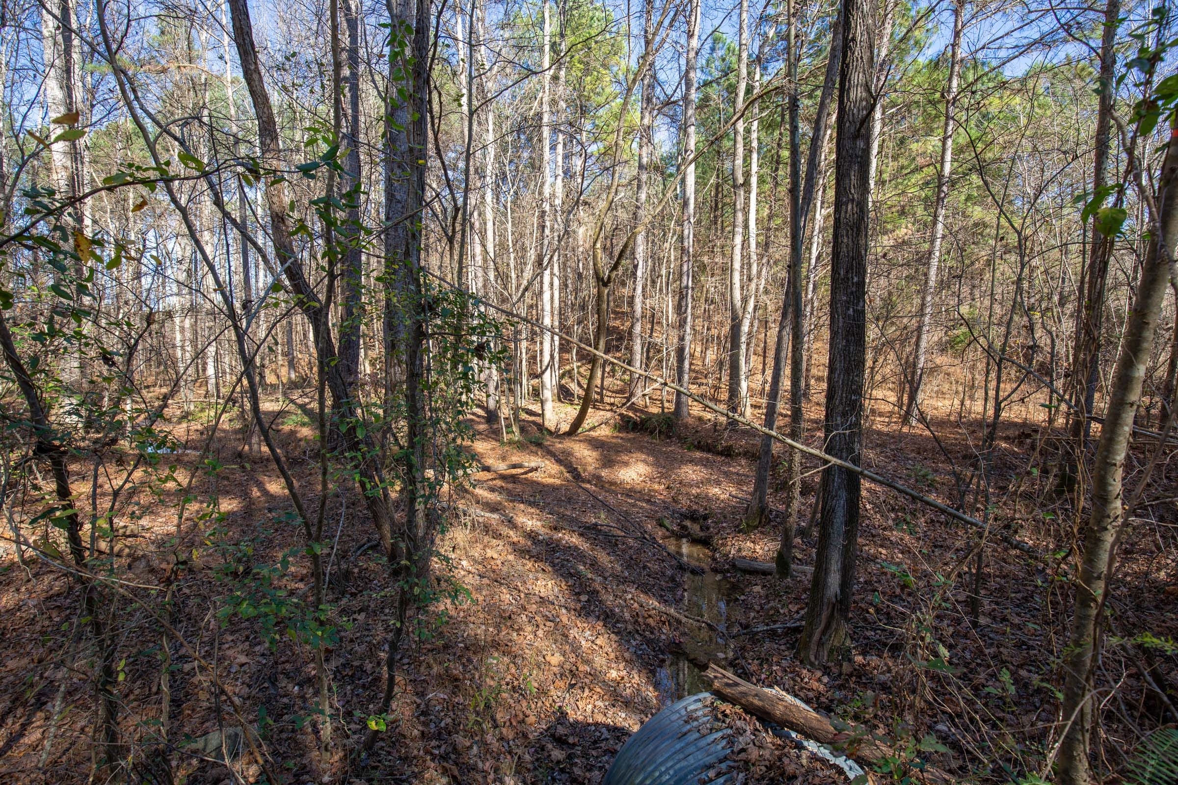 Pine Ridge Tract 10 photo 10