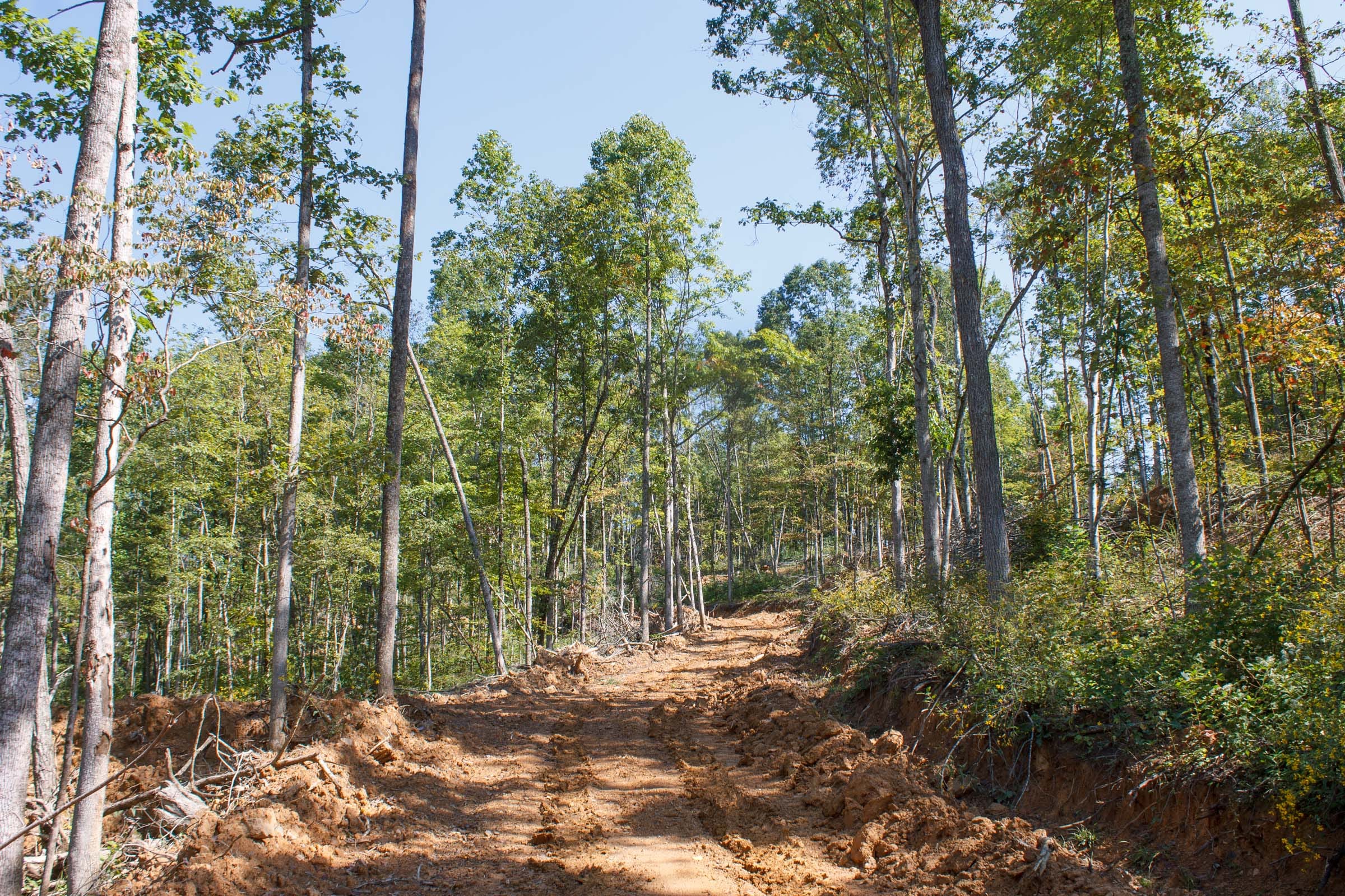 Wounded Oak Tract 5 photo 3
