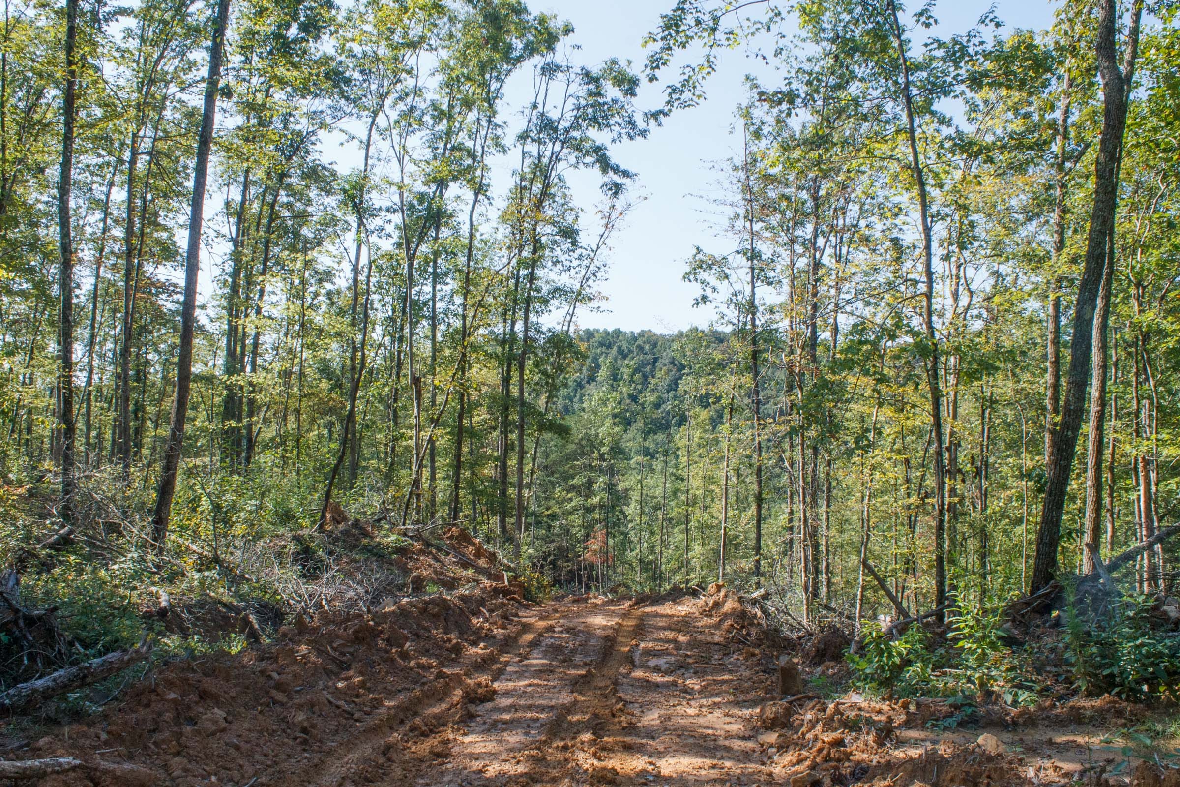 Wounded Oak Tract 5 photo 4