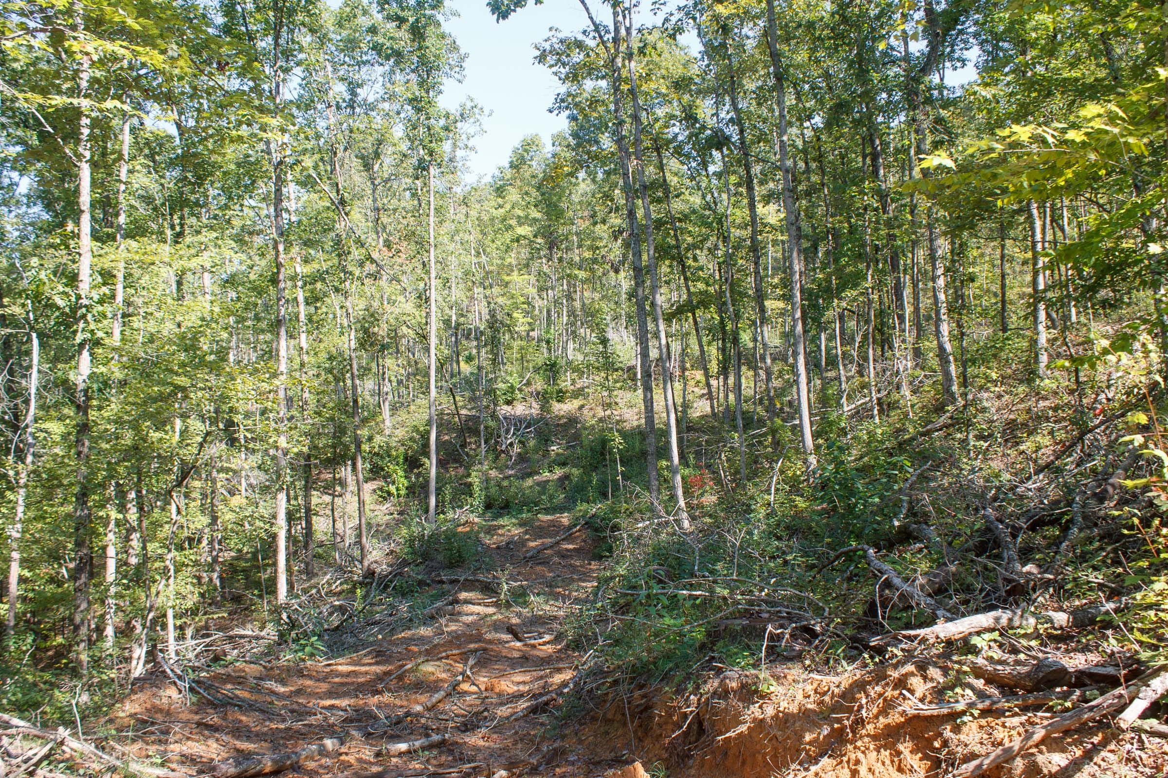 Wounded Oak Tract 5 photo 6