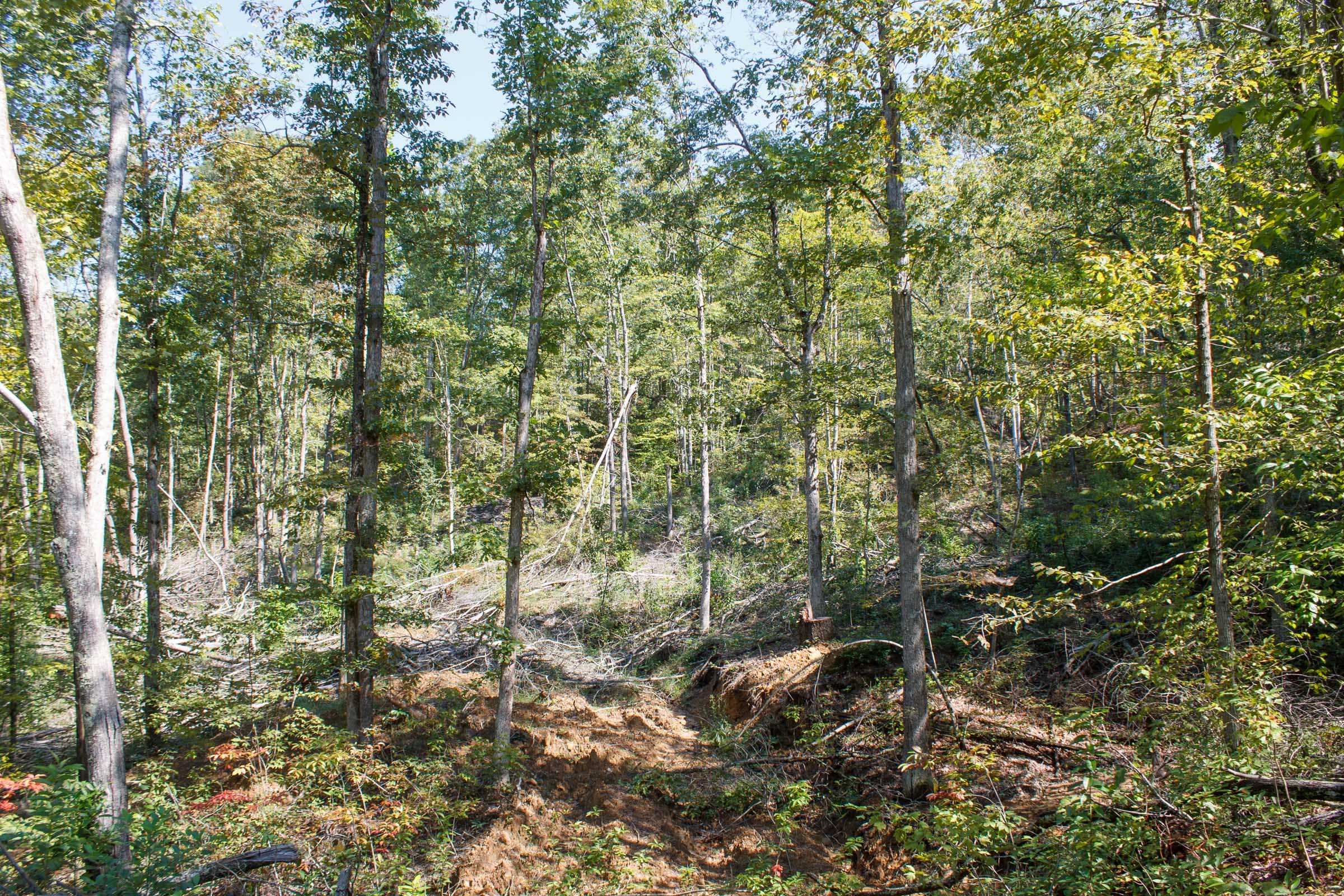 Wounded Oak Tract 5 photo 9