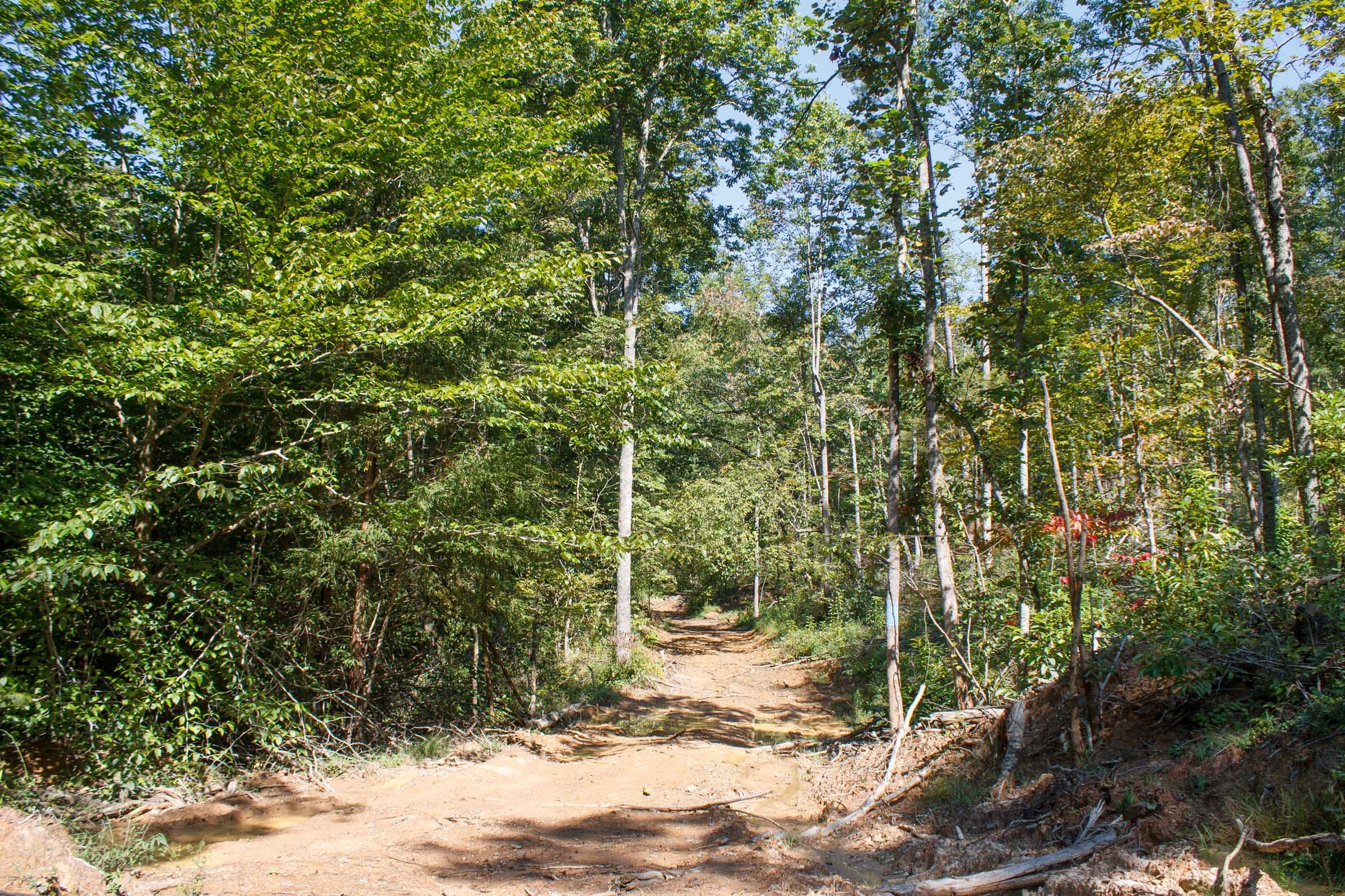 Wounded Oak Tract 5 photo 10