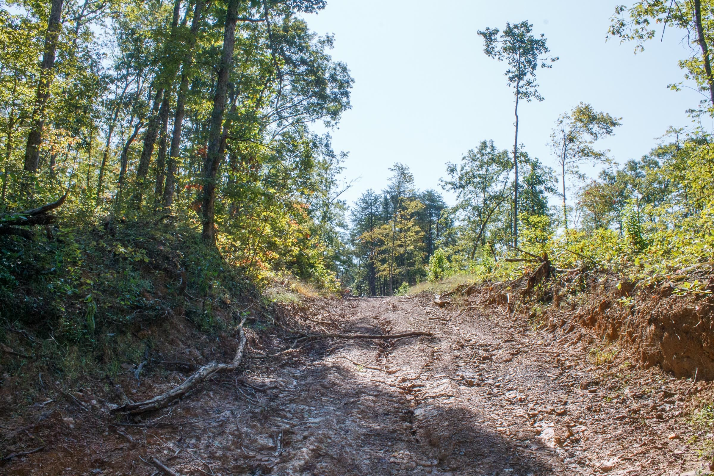 Wounded Oak Tract 5 photo 11