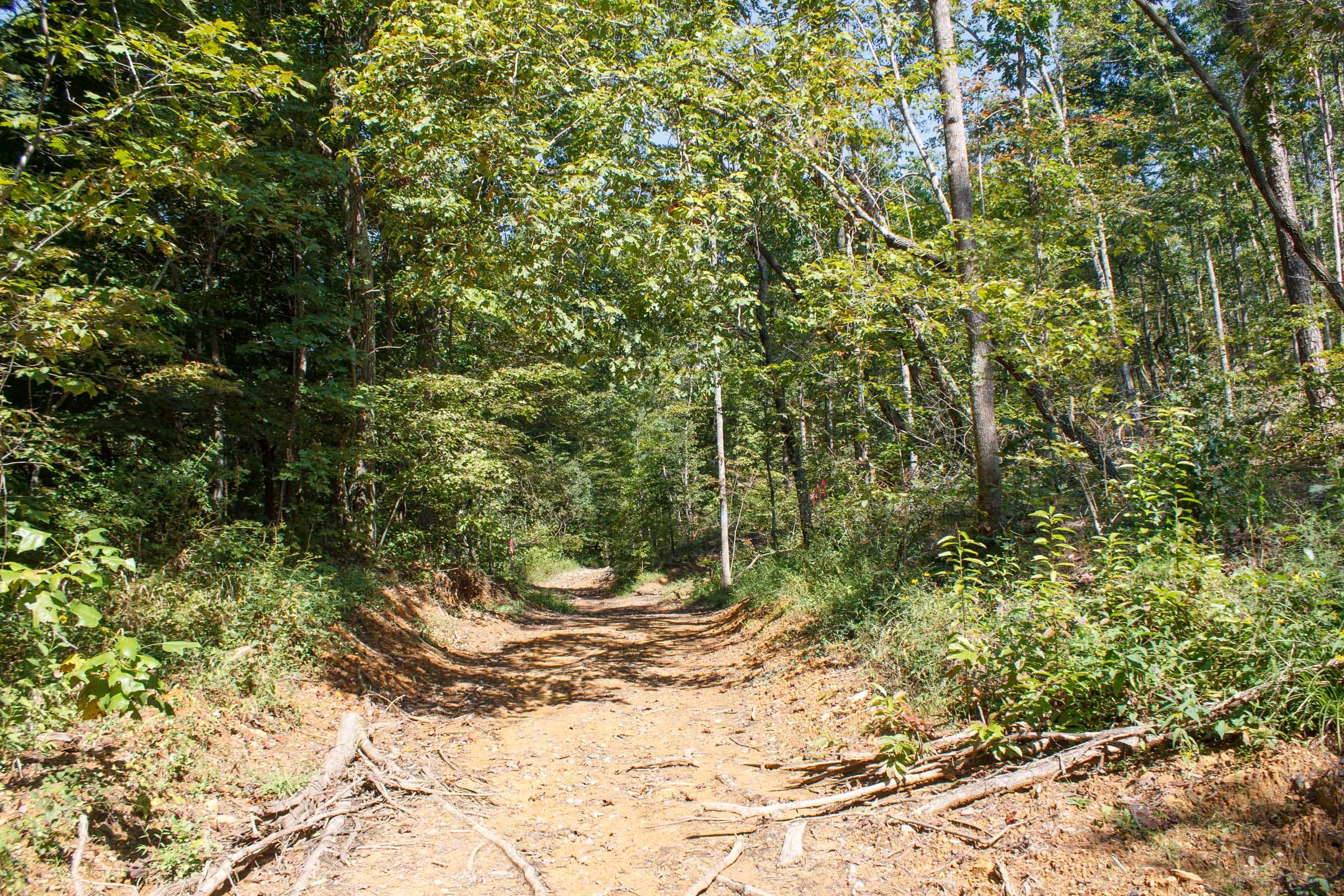 Wounded Oak Tract 5 photo 12