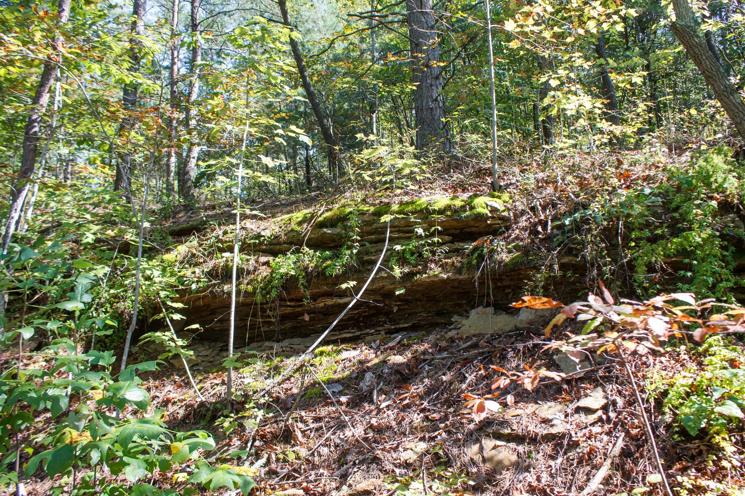 Wounded Oak Tract 5 photo 15