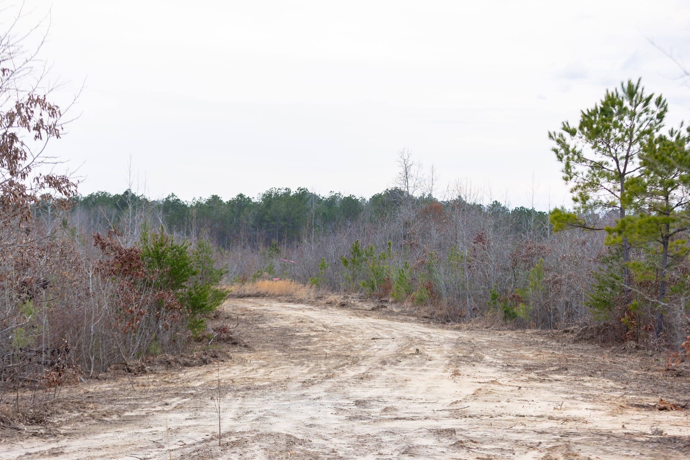 Baker Creek Tract 18 photo 5