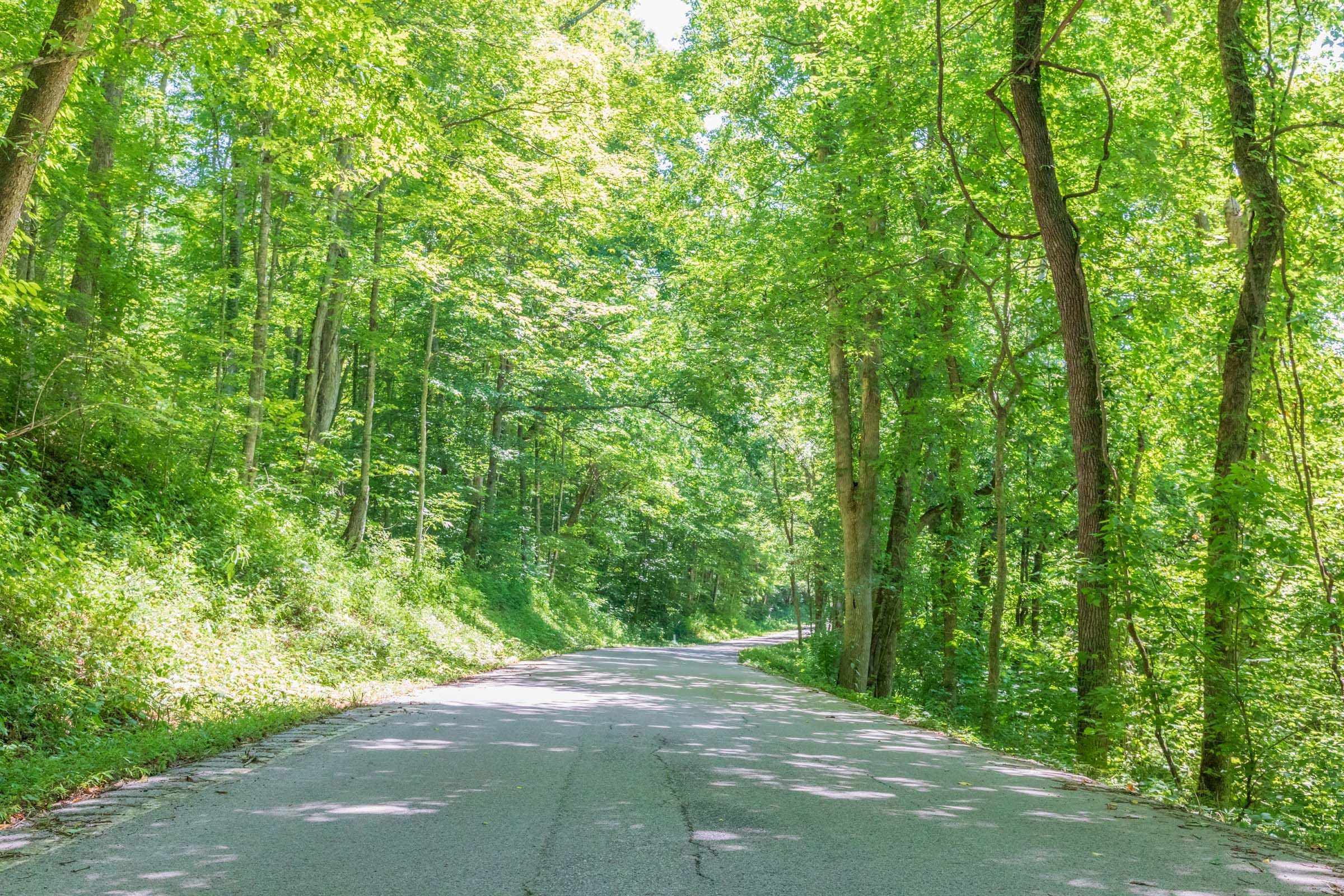 River’s Edge Tract 40 photo 8