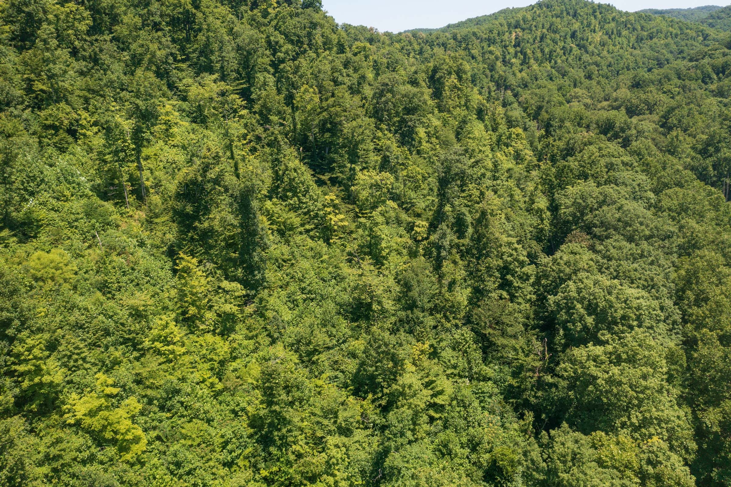 River’s Edge Tract 40 photo 16