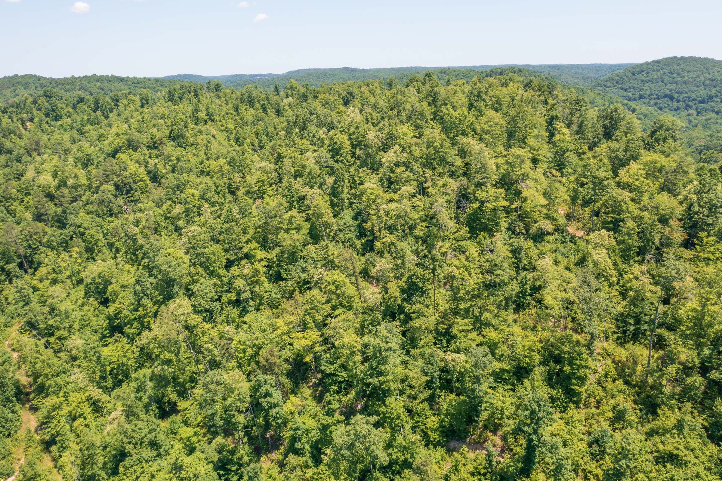 River’s Edge Tract 40 photo 17
