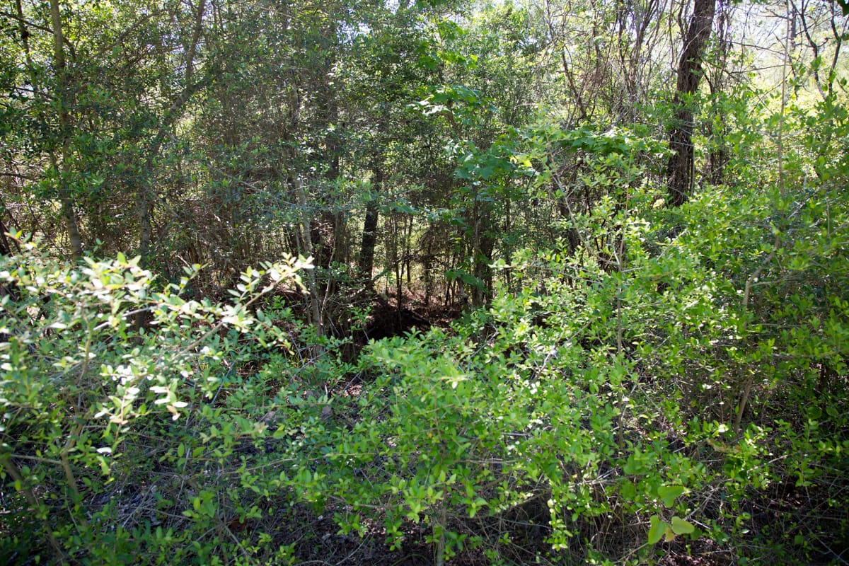 Rayburn Country Tract 300 photo 6