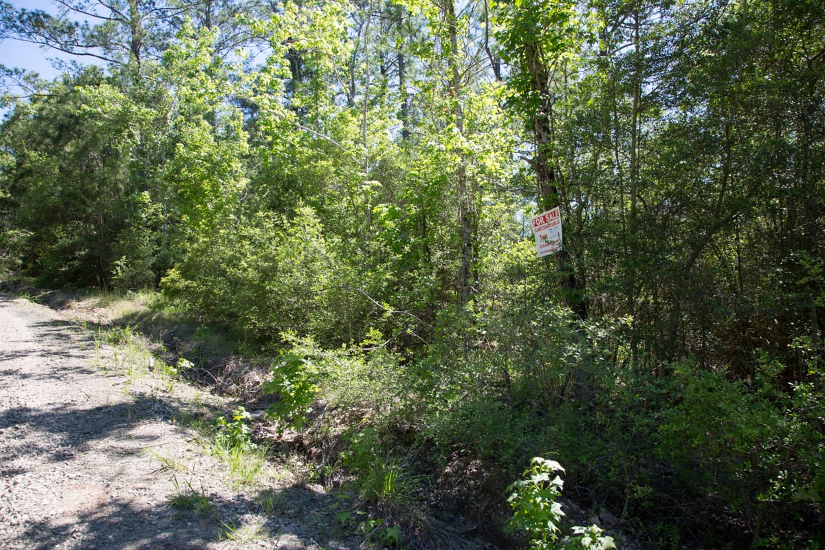 Rayburn Country Tract 300 photo 7