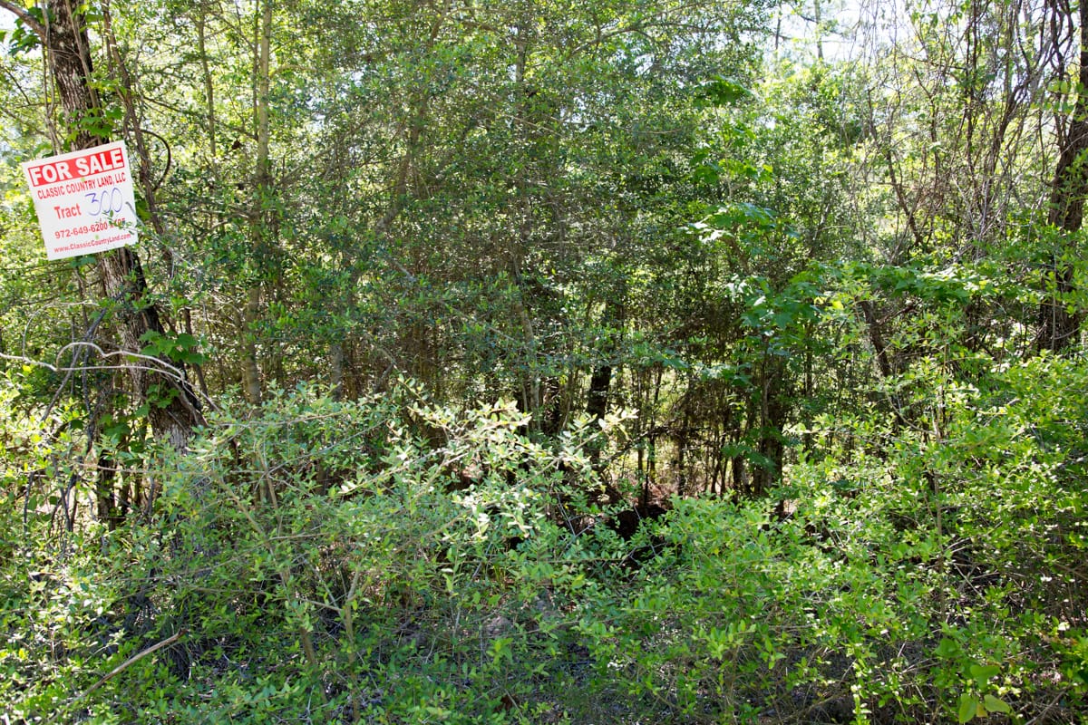 Rayburn Country Tract 300 photo 8