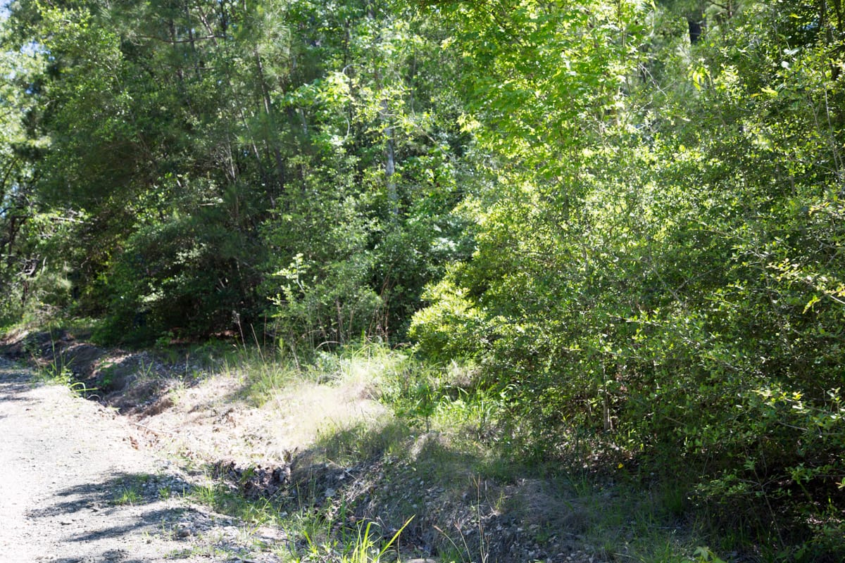 Rayburn Country Tract 300 photo 2