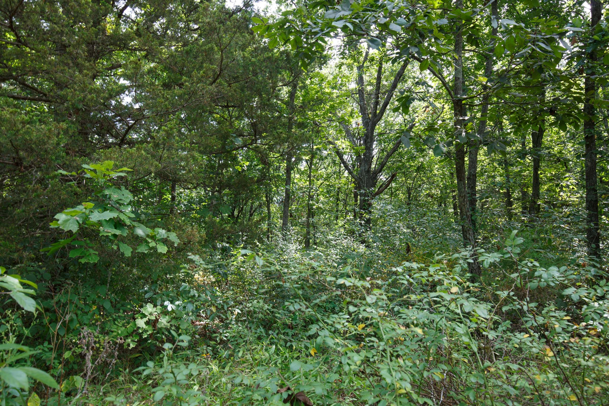 Spring Lake Plat 6 Tract 19 photo 2