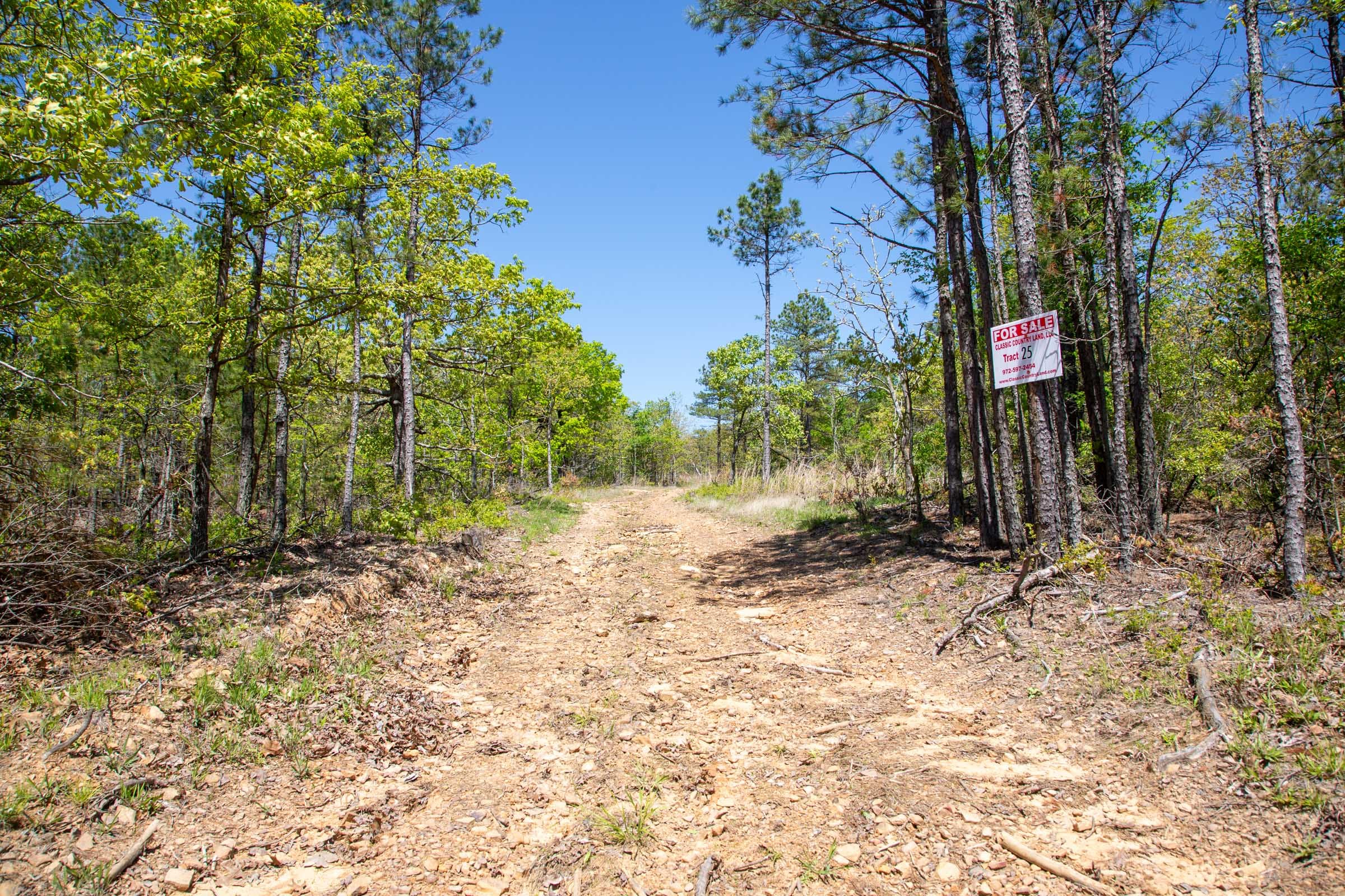 Eagle’s Nest Tract 24 photo 2
