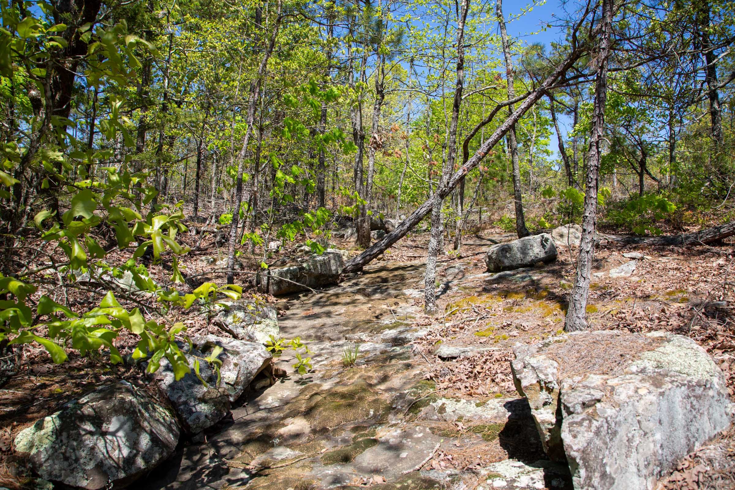 Eagle’s Nest Tract 24 photo 6