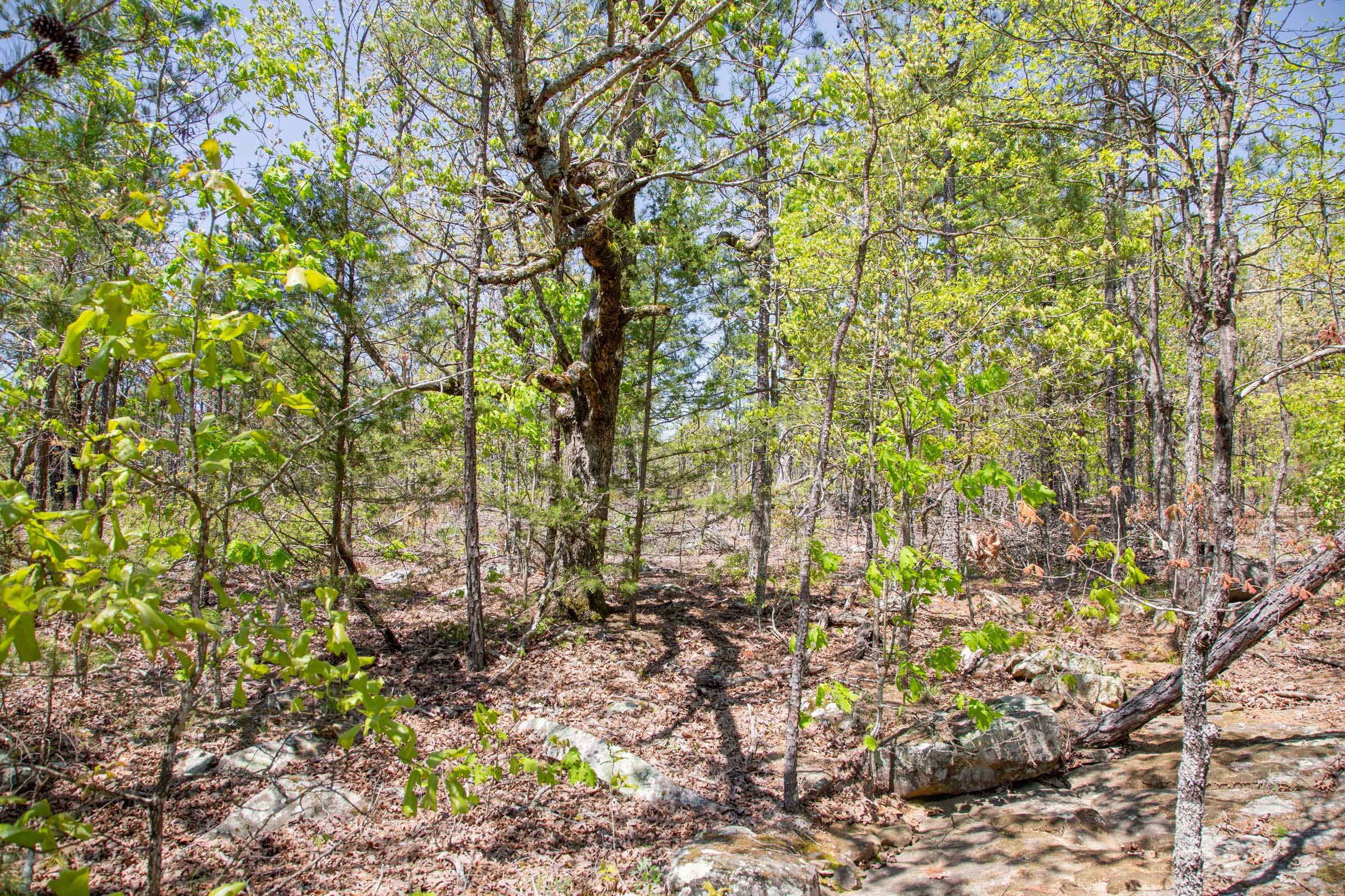 Eagle’s Nest Tract 24 photo 7