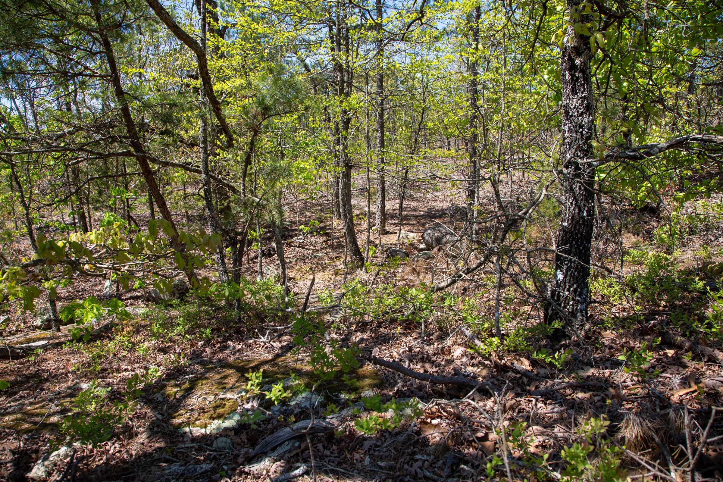 Eagle’s Nest Tract 24 photo 8