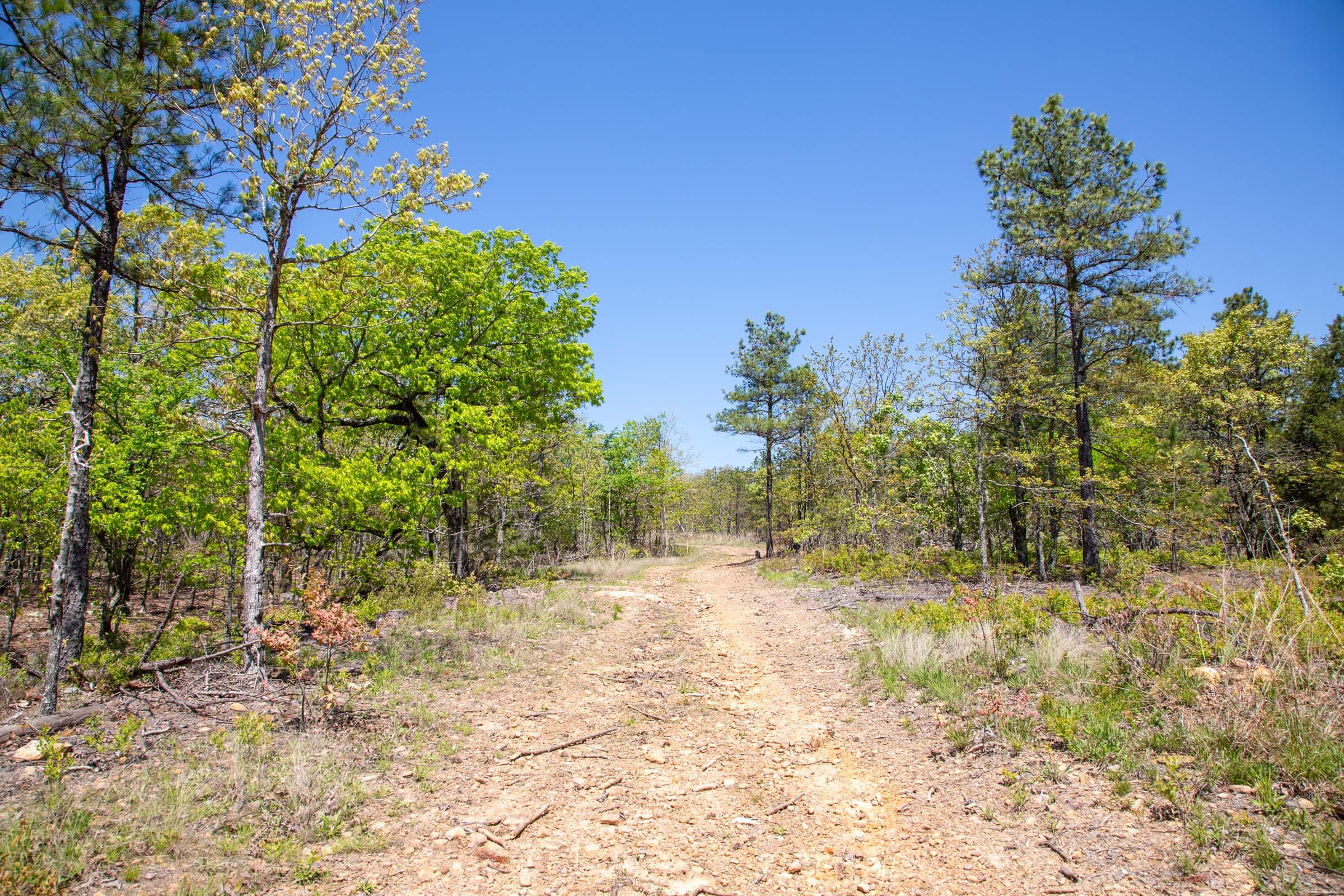 Eagle’s Nest Tract 24 photo 9