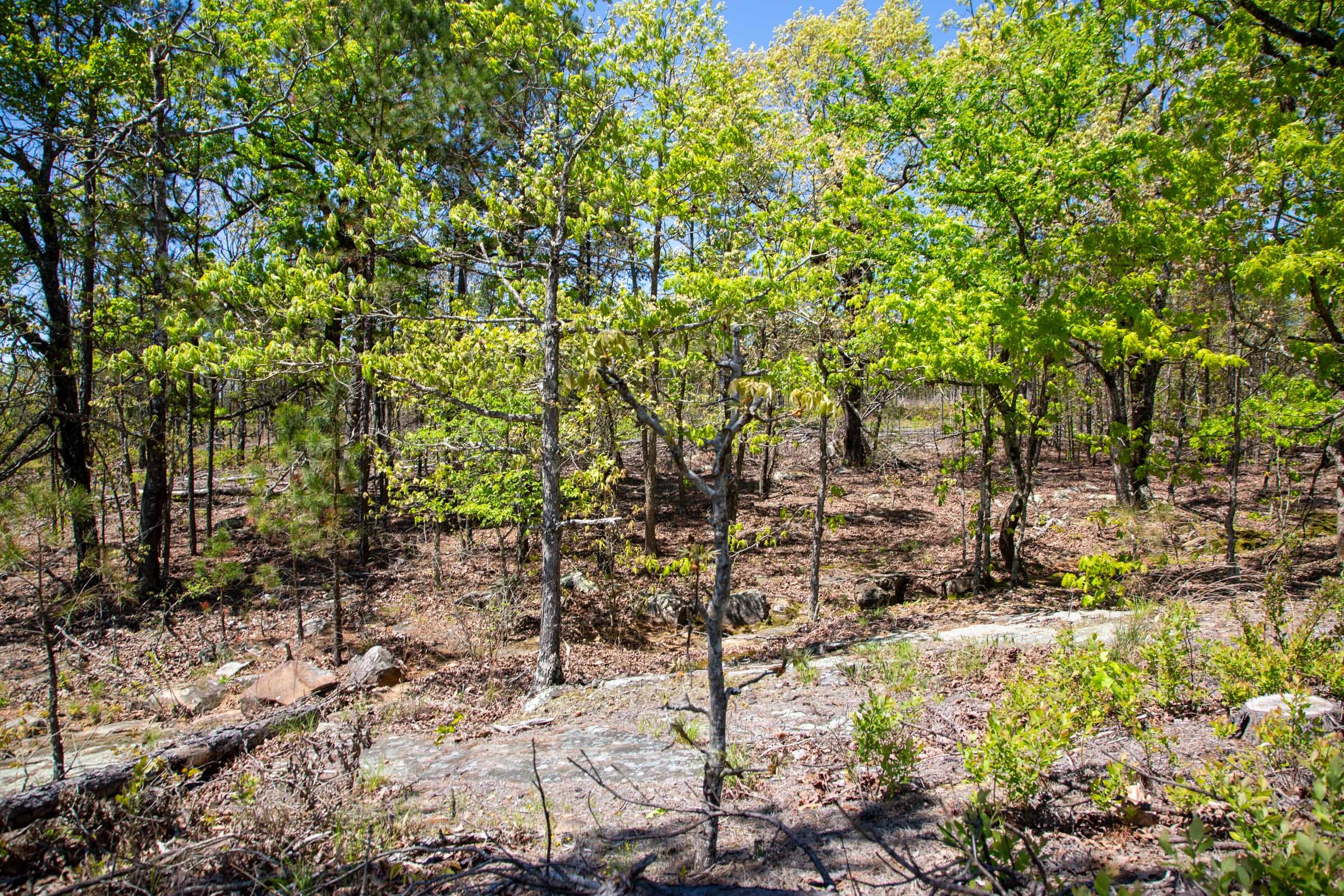 Eagle’s Nest Tract 24 photo 12
