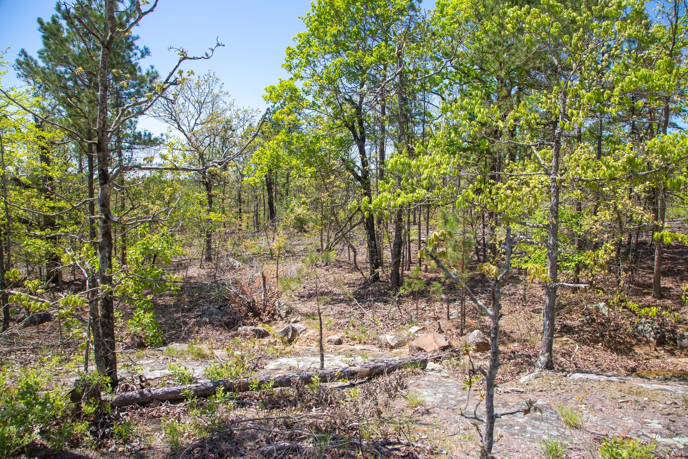 Eagle’s Nest Tract 24 photo 13