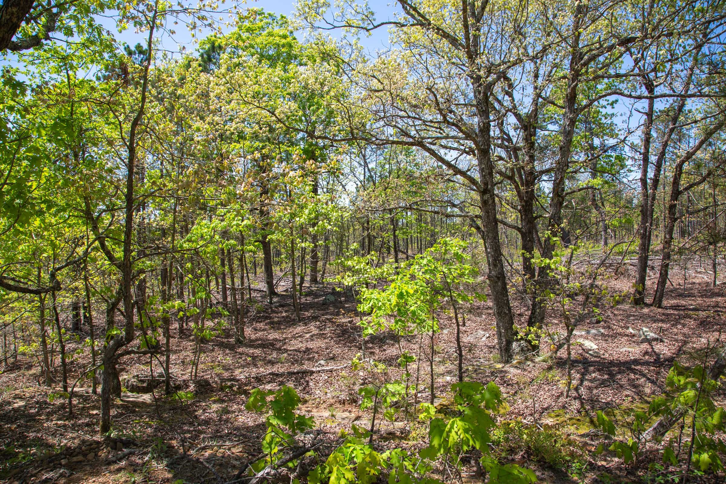 Eagle’s Nest Tract 24 photo 15