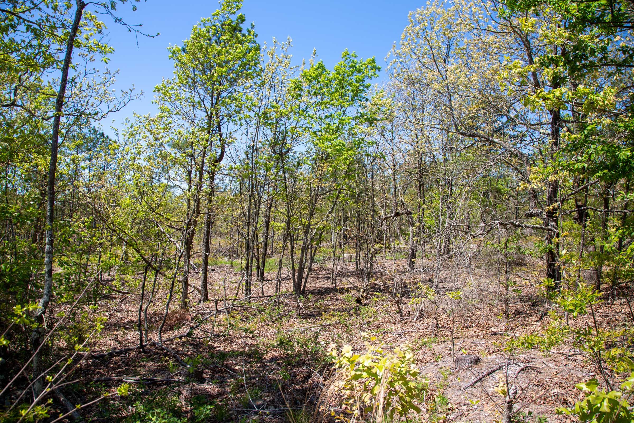 Eagle’s Nest Tract 24 photo 17