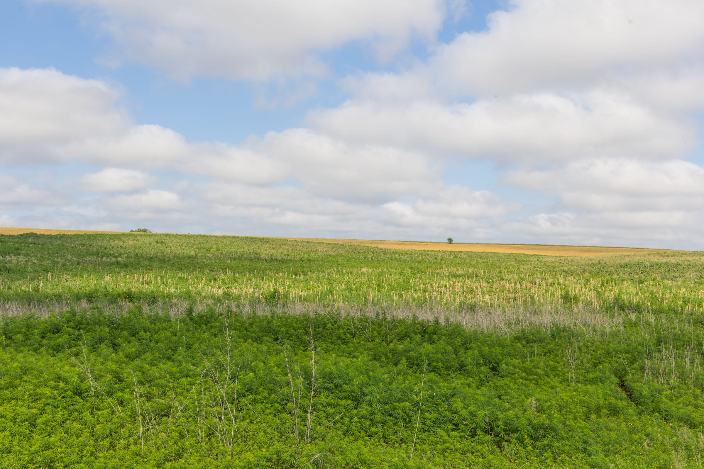 Crandall's Corner Tract 18 photo 6