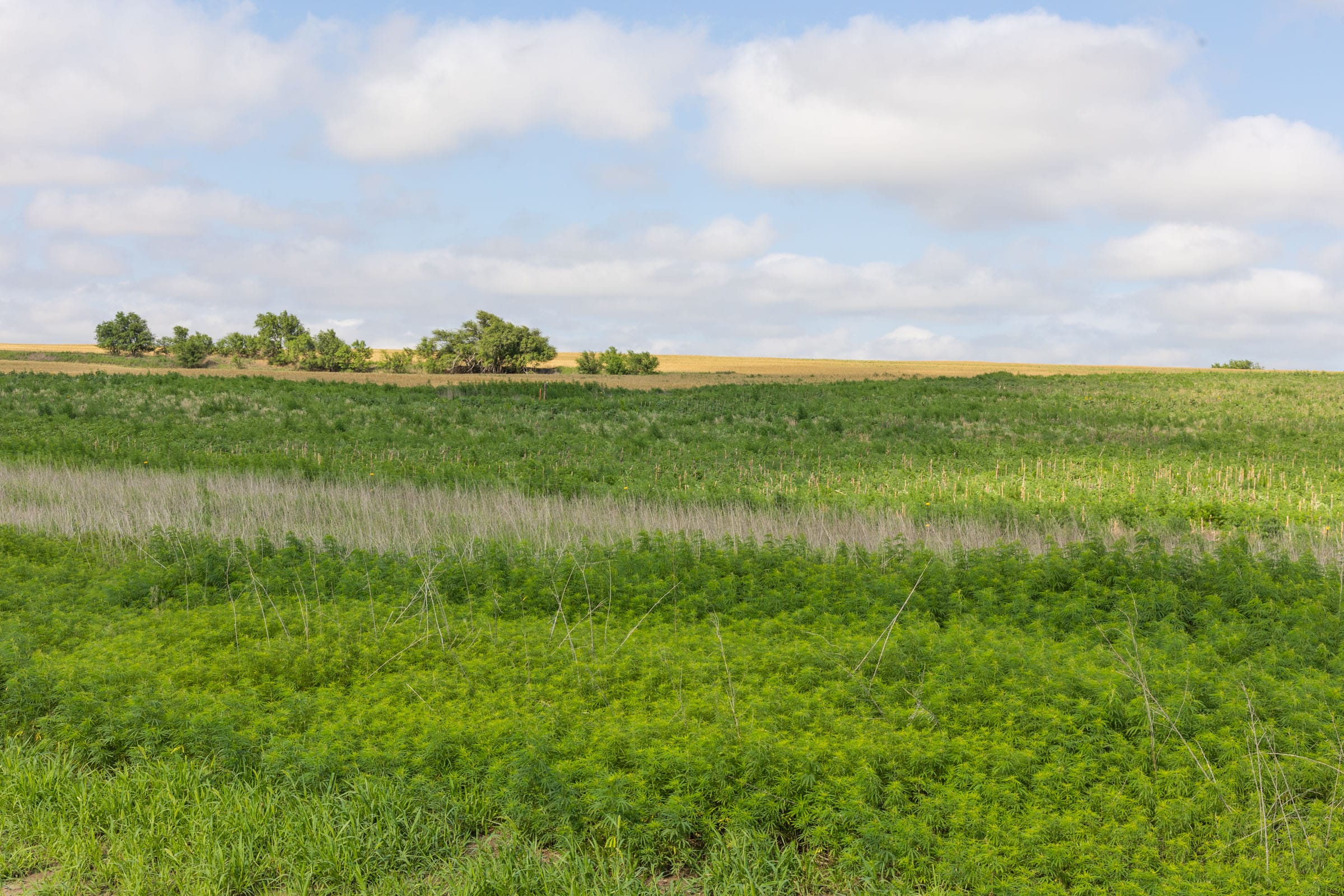 Crandall's Corner Tract 18 photo 8