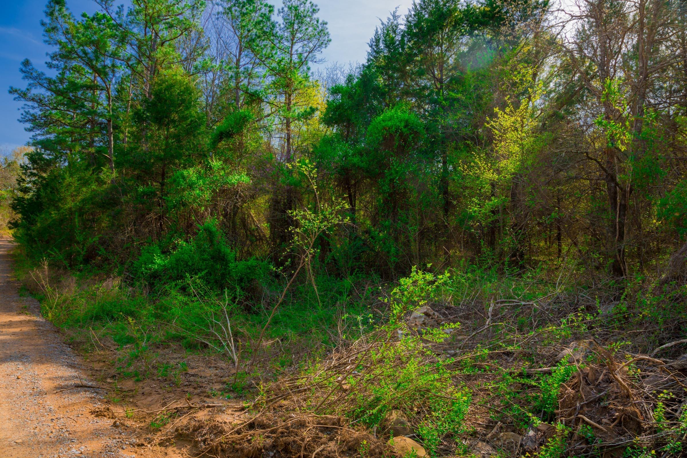 Stone Creek Phase II Tract 260 photo 6