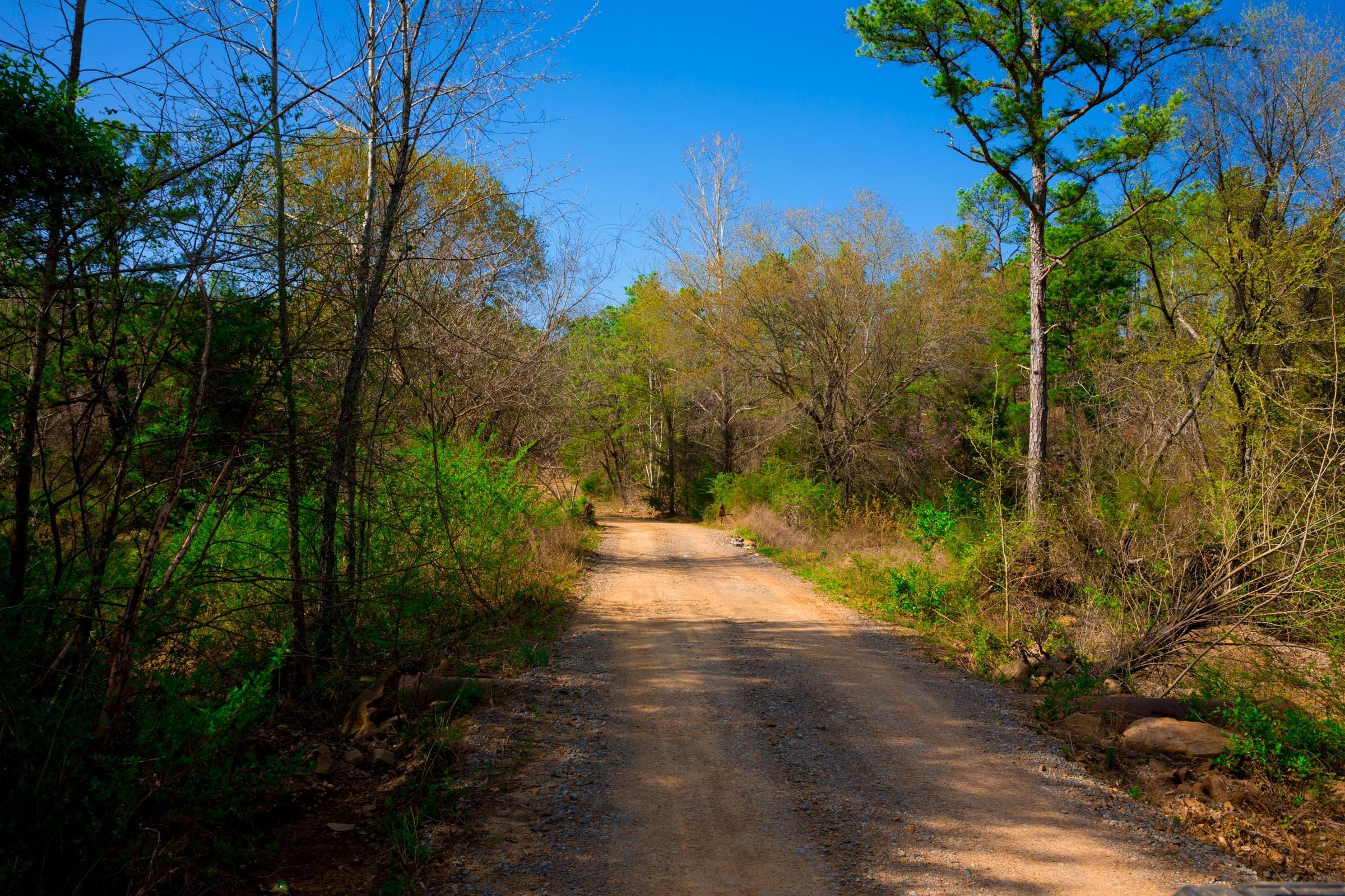 Stone Creek Phase II Tract 260 photo 2