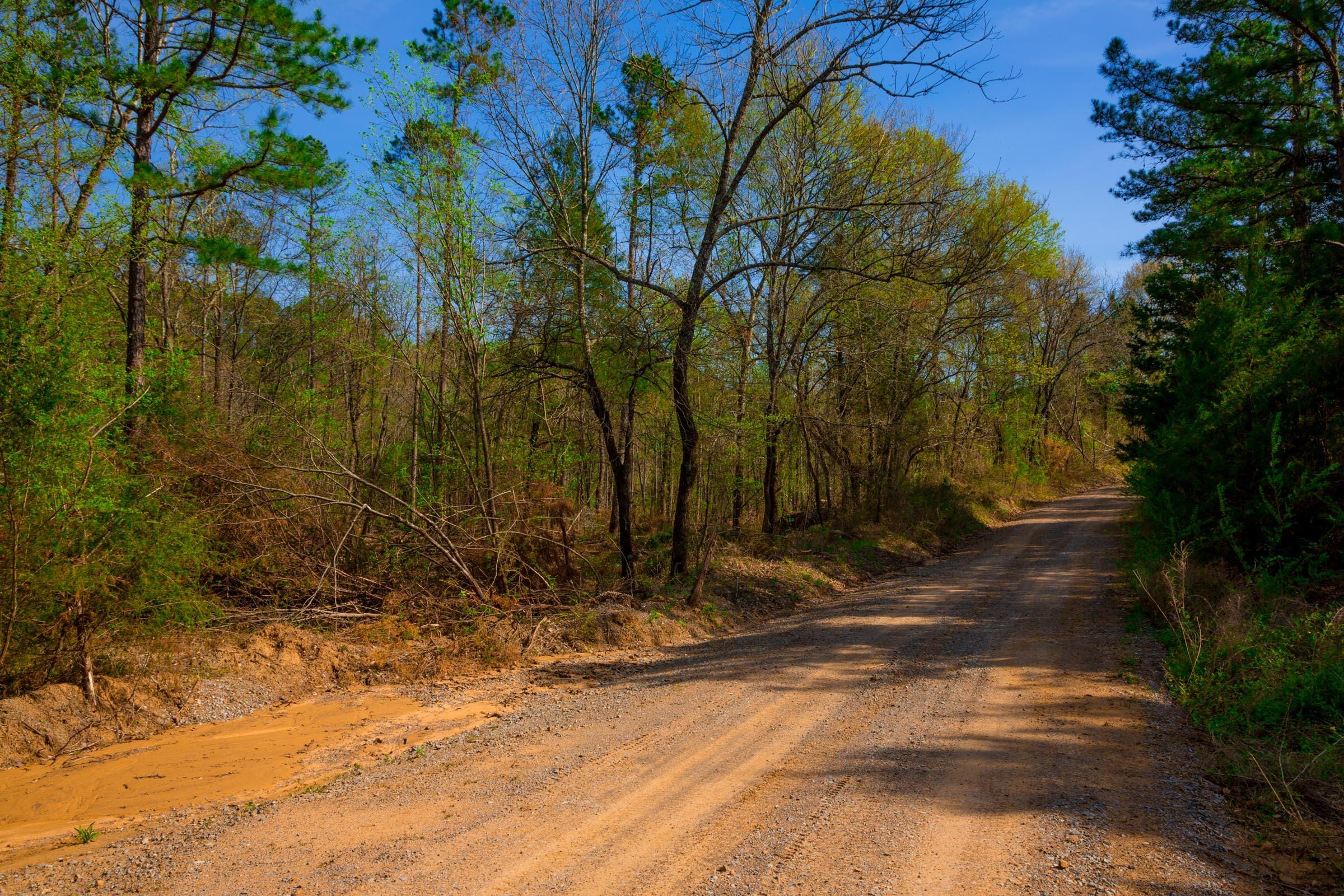 Stone Creek Phase II Tract 260 photo 7