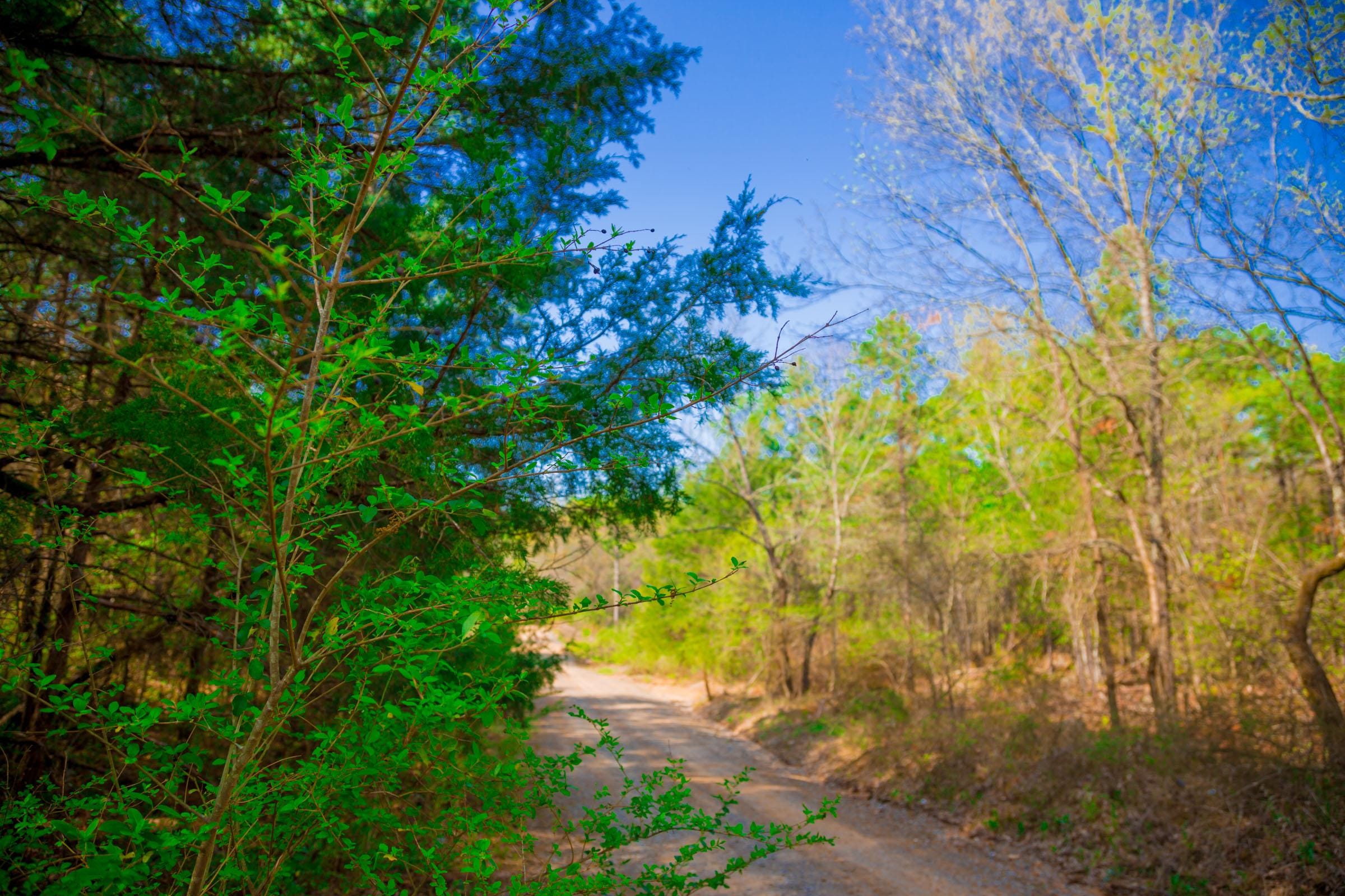 Stone Creek Phase II Tract 260 photo 8