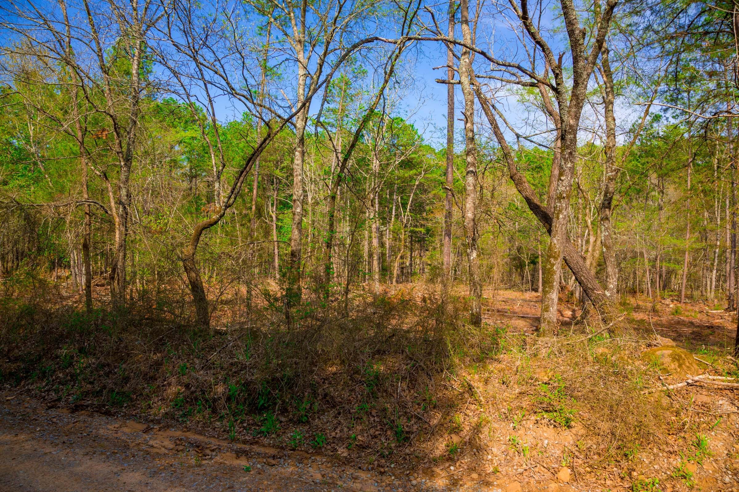 Stone Creek Phase II Tract 260 photo 9