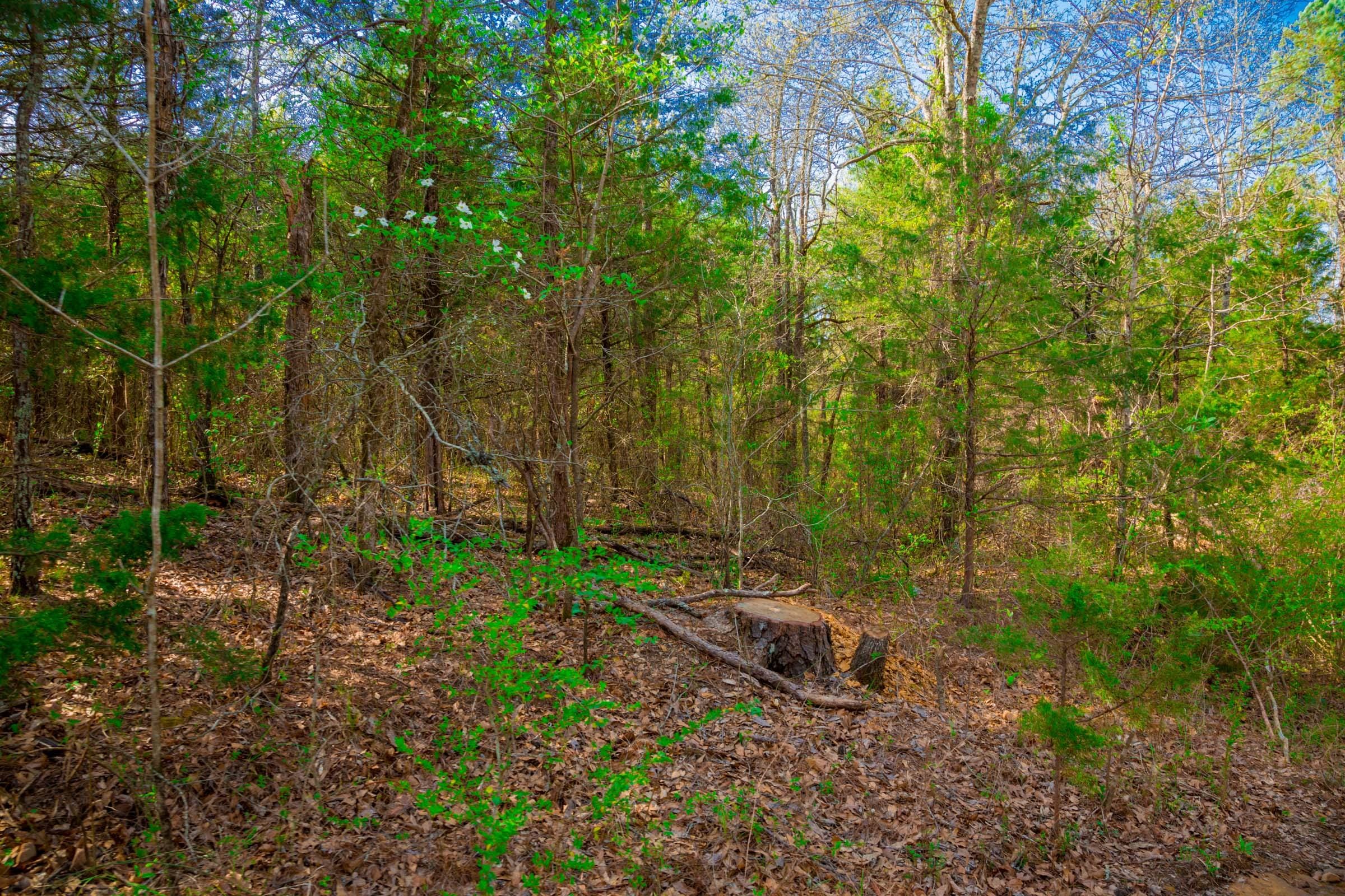 Stone Creek Phase II Tract 260 photo 10