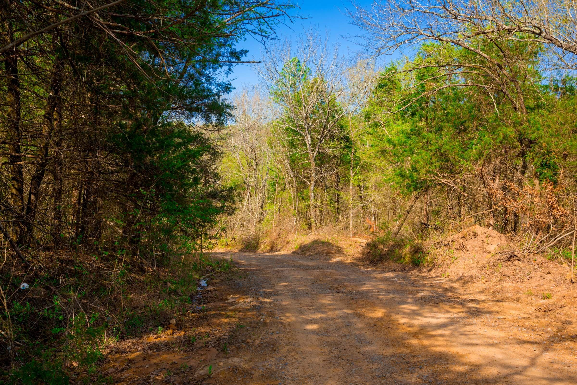 Stone Creek Phase II Tract 260 photo 11