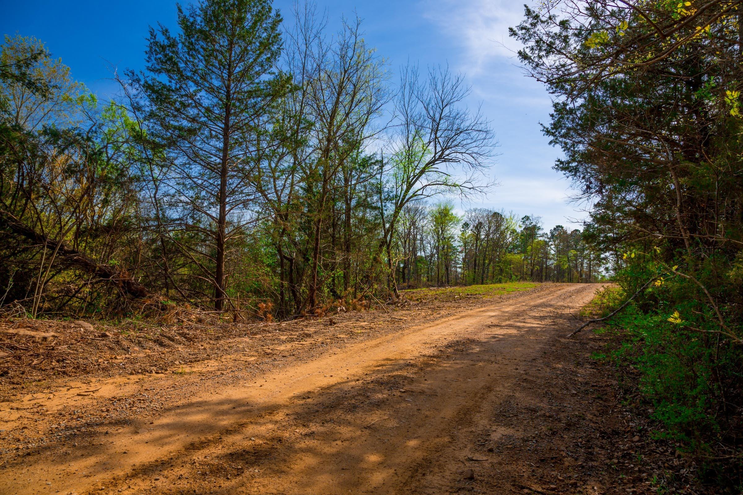 Stone Creek Phase II Tract 260 photo 12