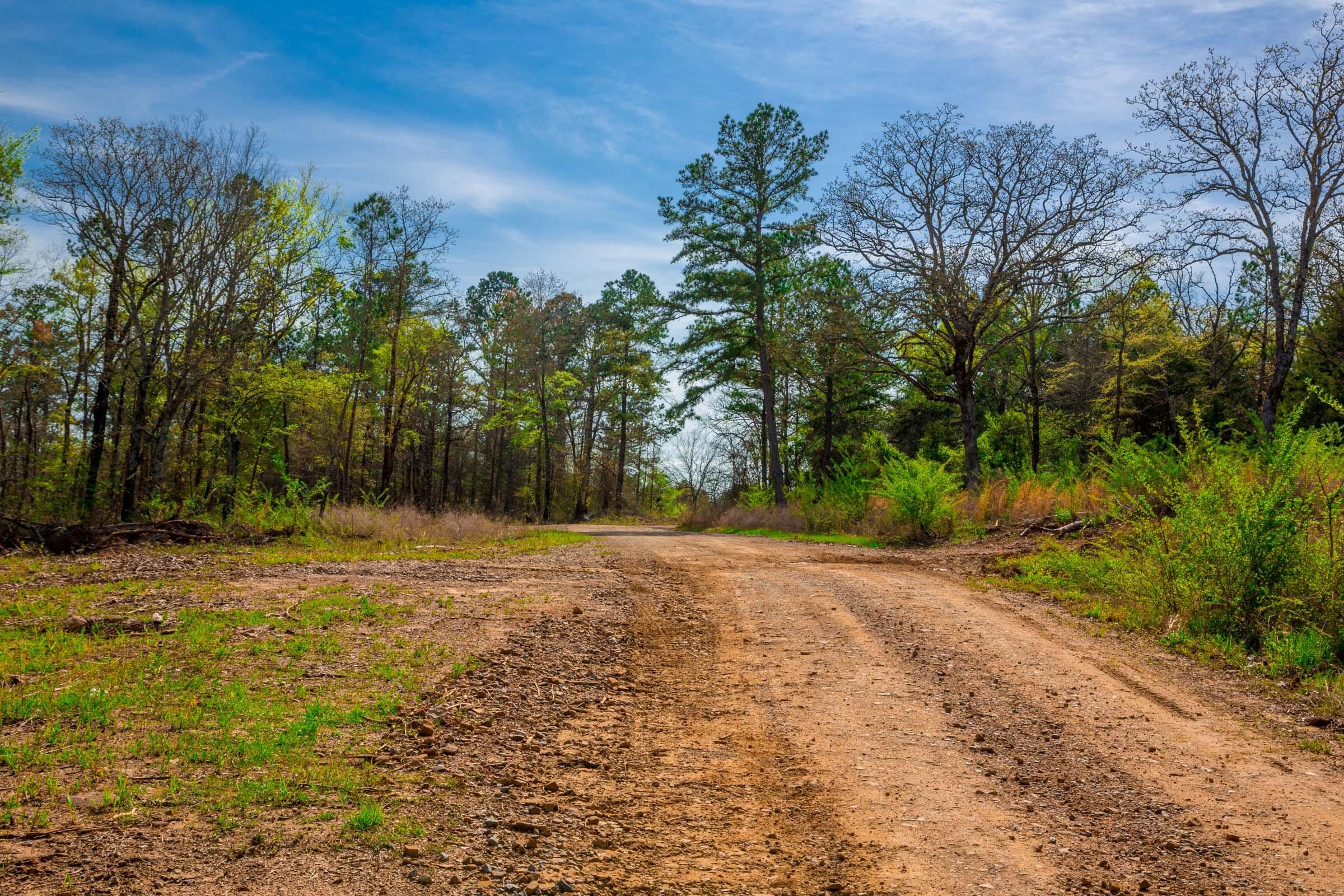 Stone Creek Phase II Tract 260 photo 13