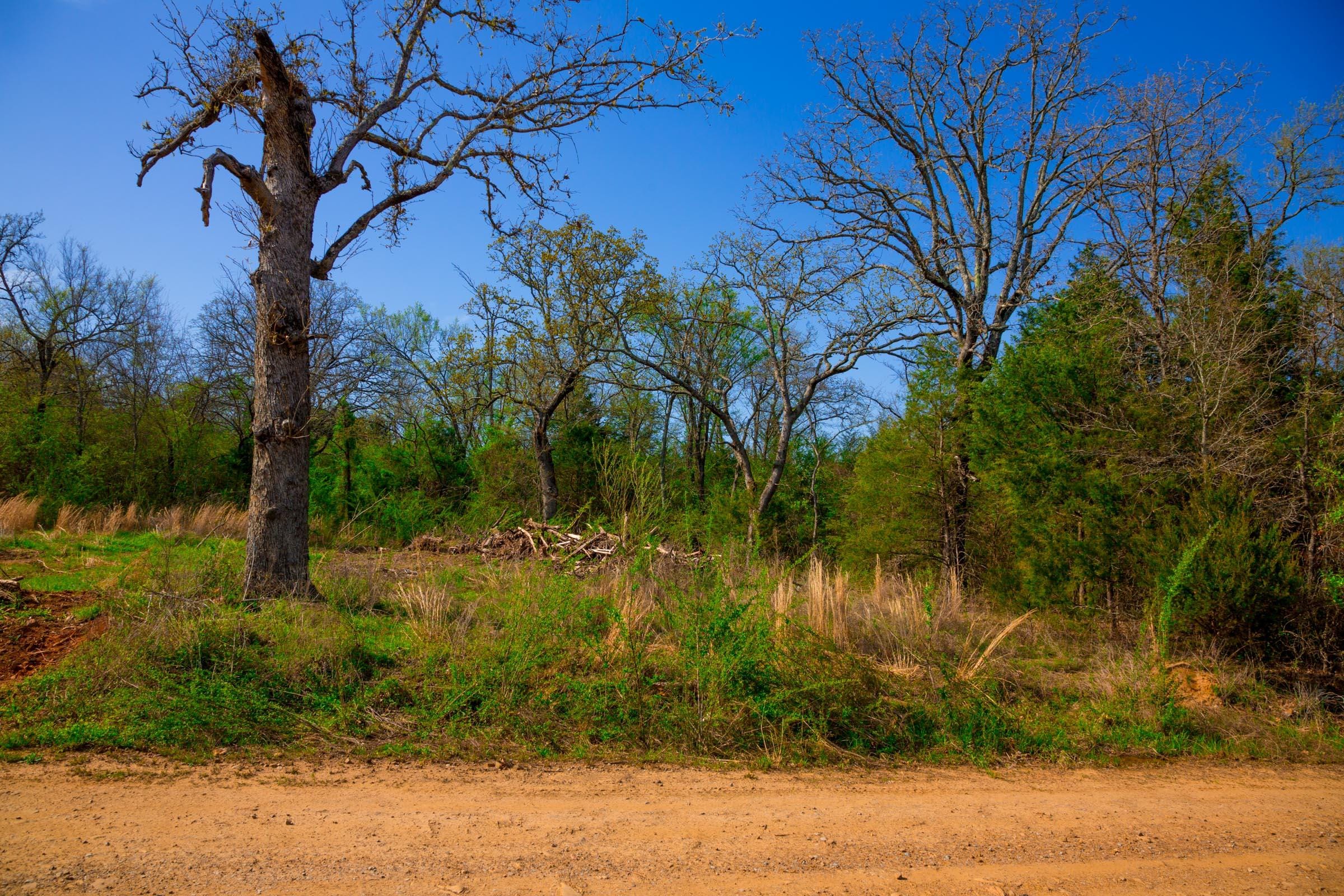 Stone Creek Phase II Tract 260 photo 14