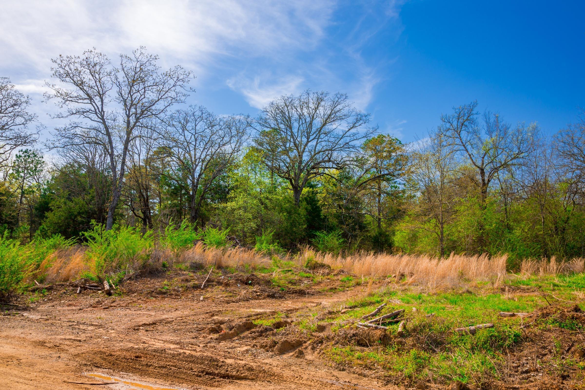 Stone Creek Phase II Tract 260 photo 15